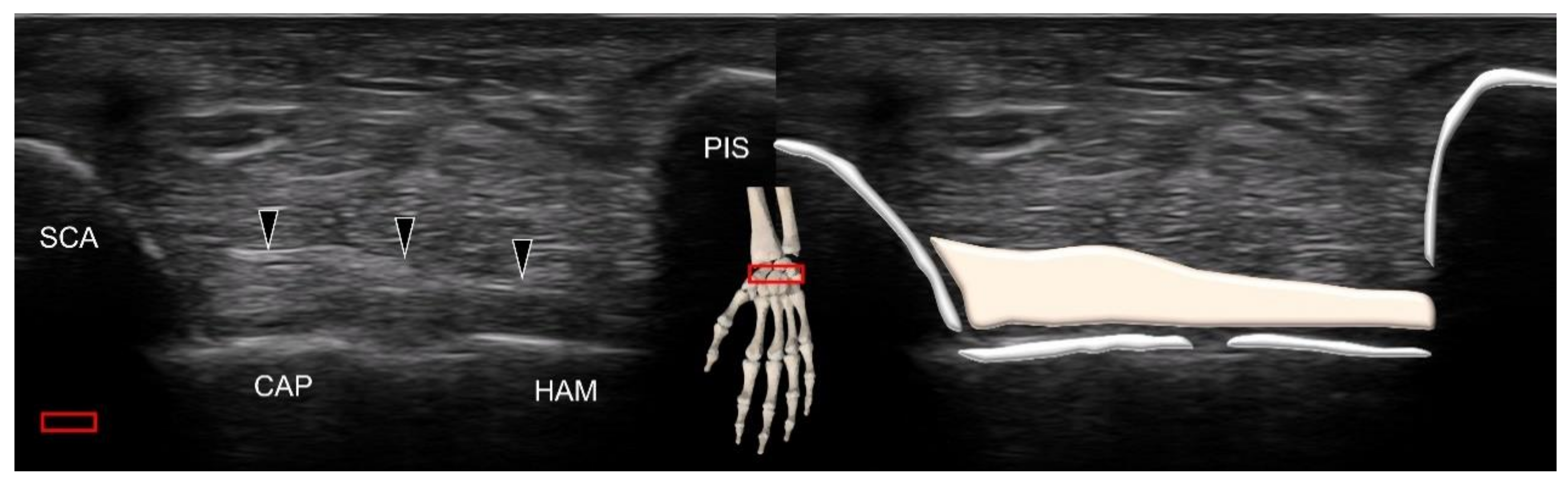Diagnostics 11 01834 g013