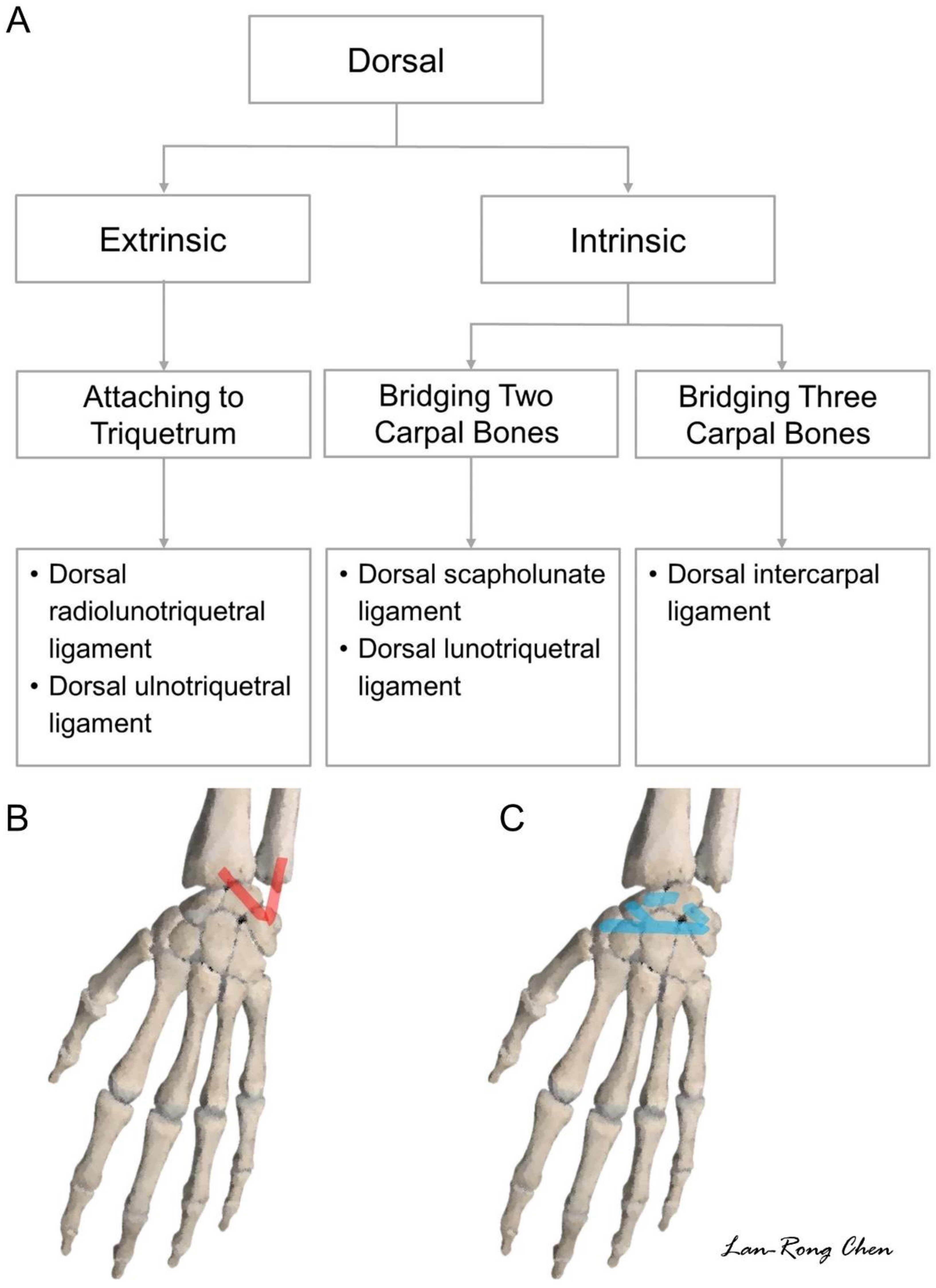 Diagnostics 11 01834 g014