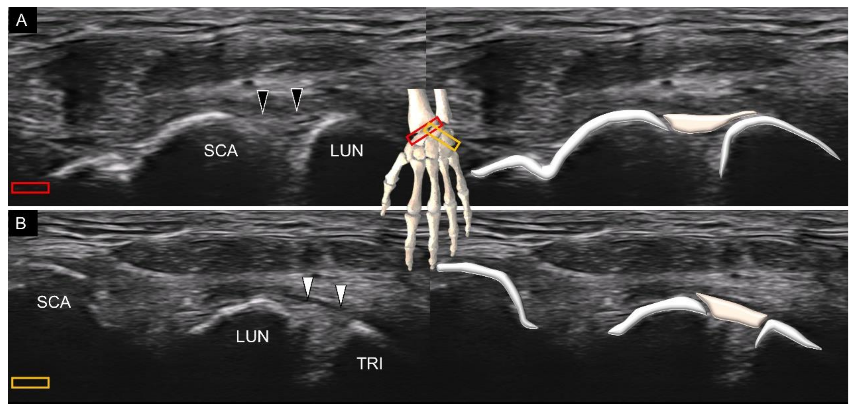 Diagnostics 11 01834 g017