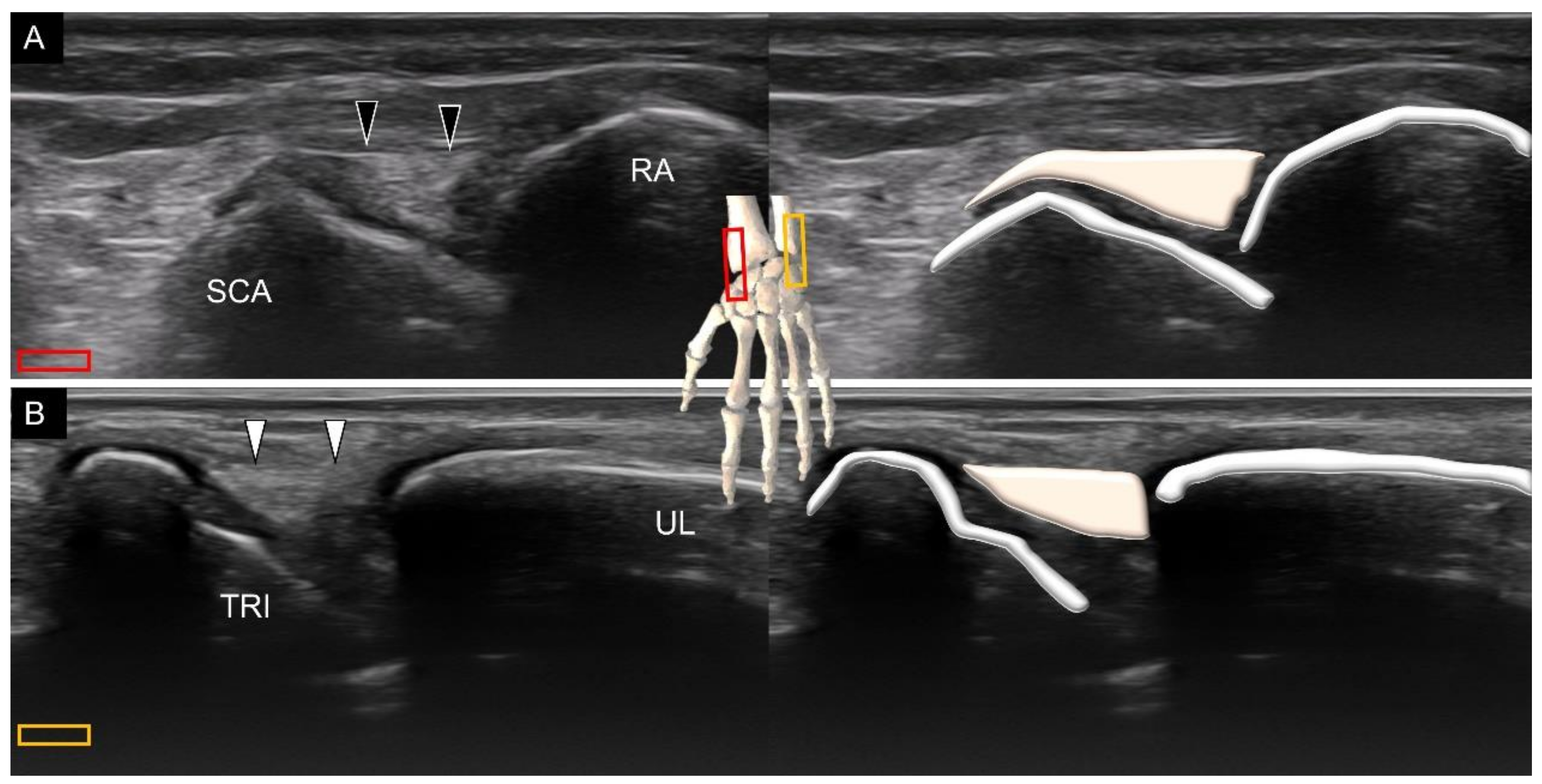 Diagnostics 11 01834 g019