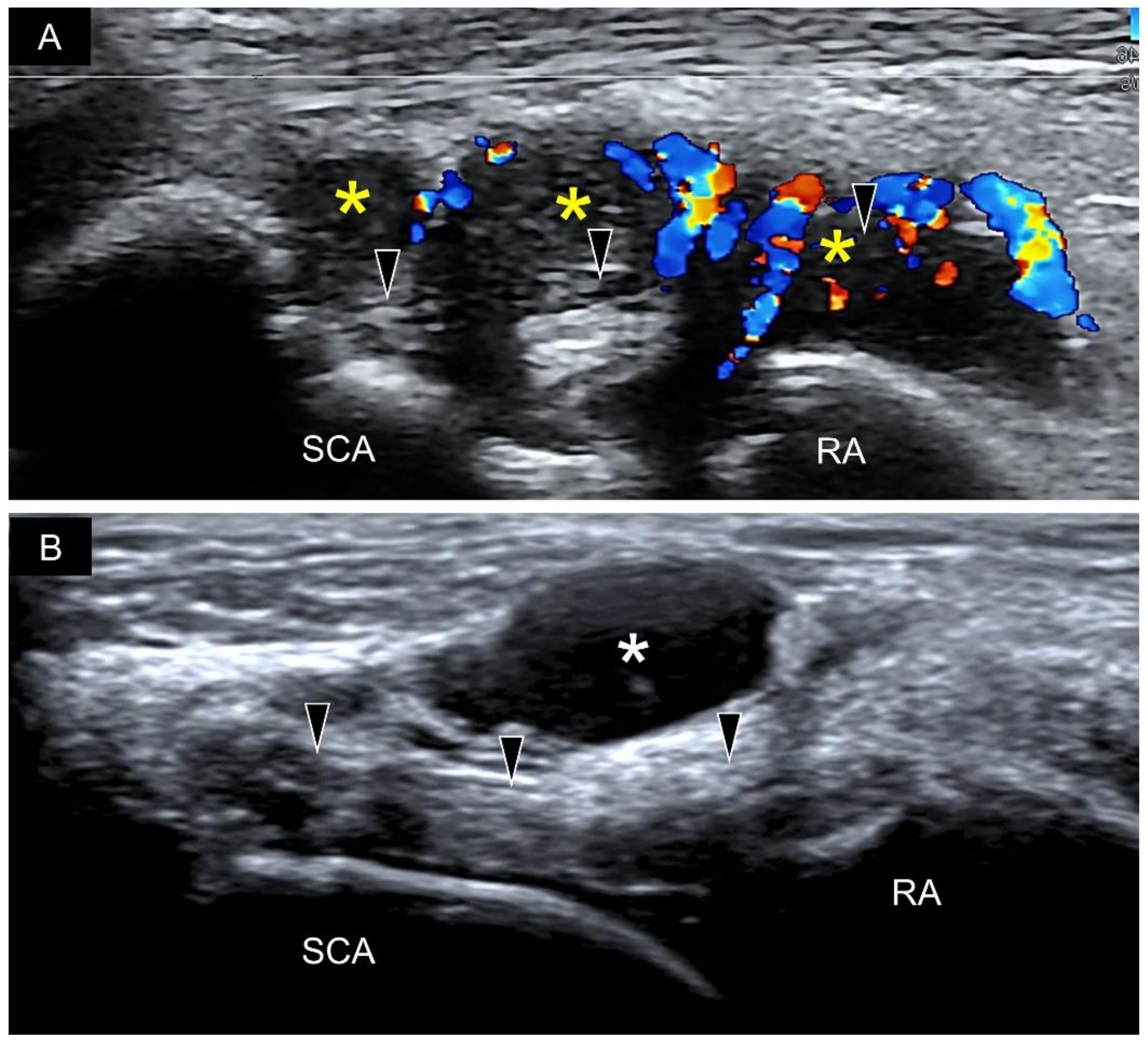 Diagnostics 11 01834 g020
