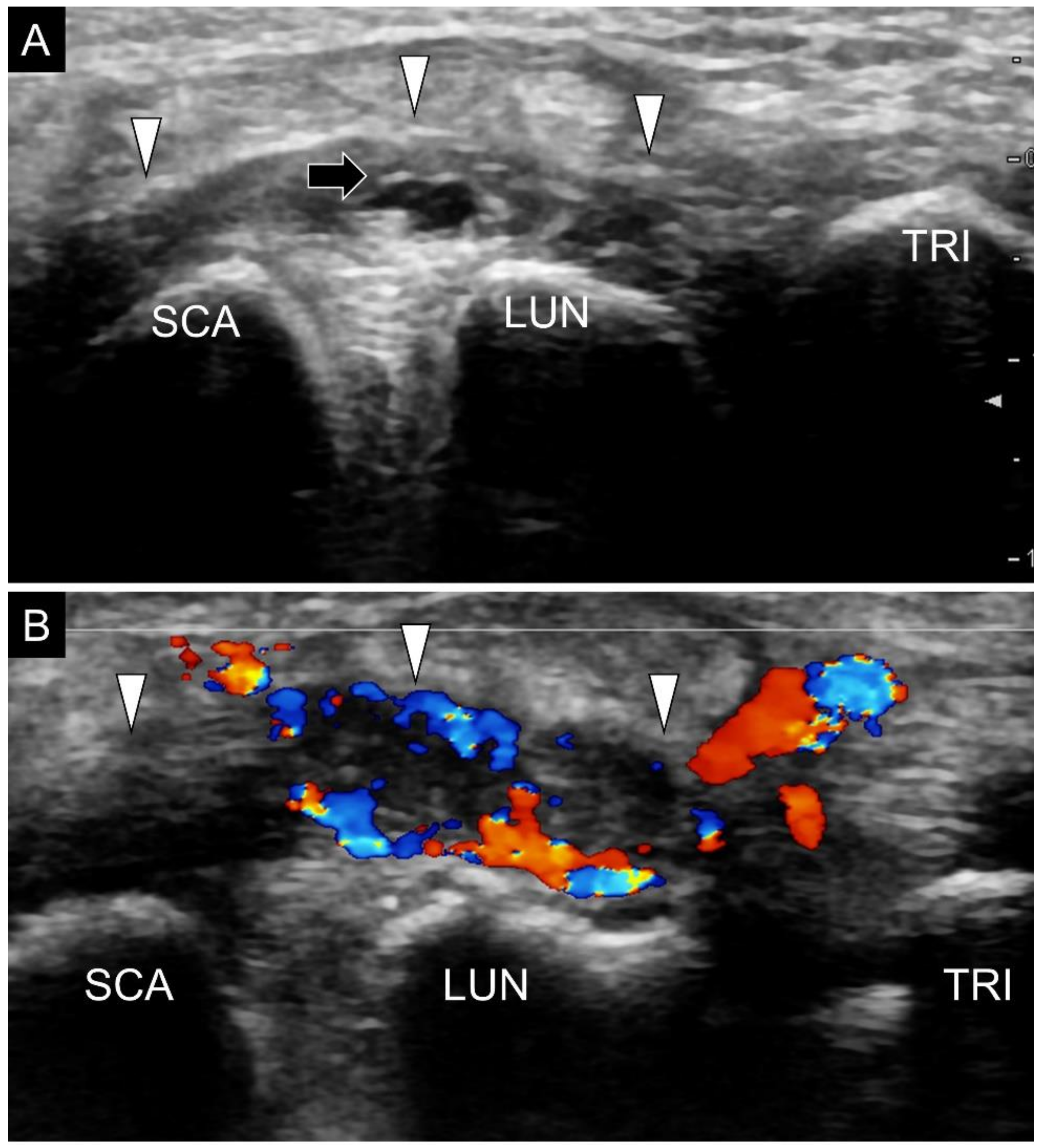 Diagnostics 11 01834 g021