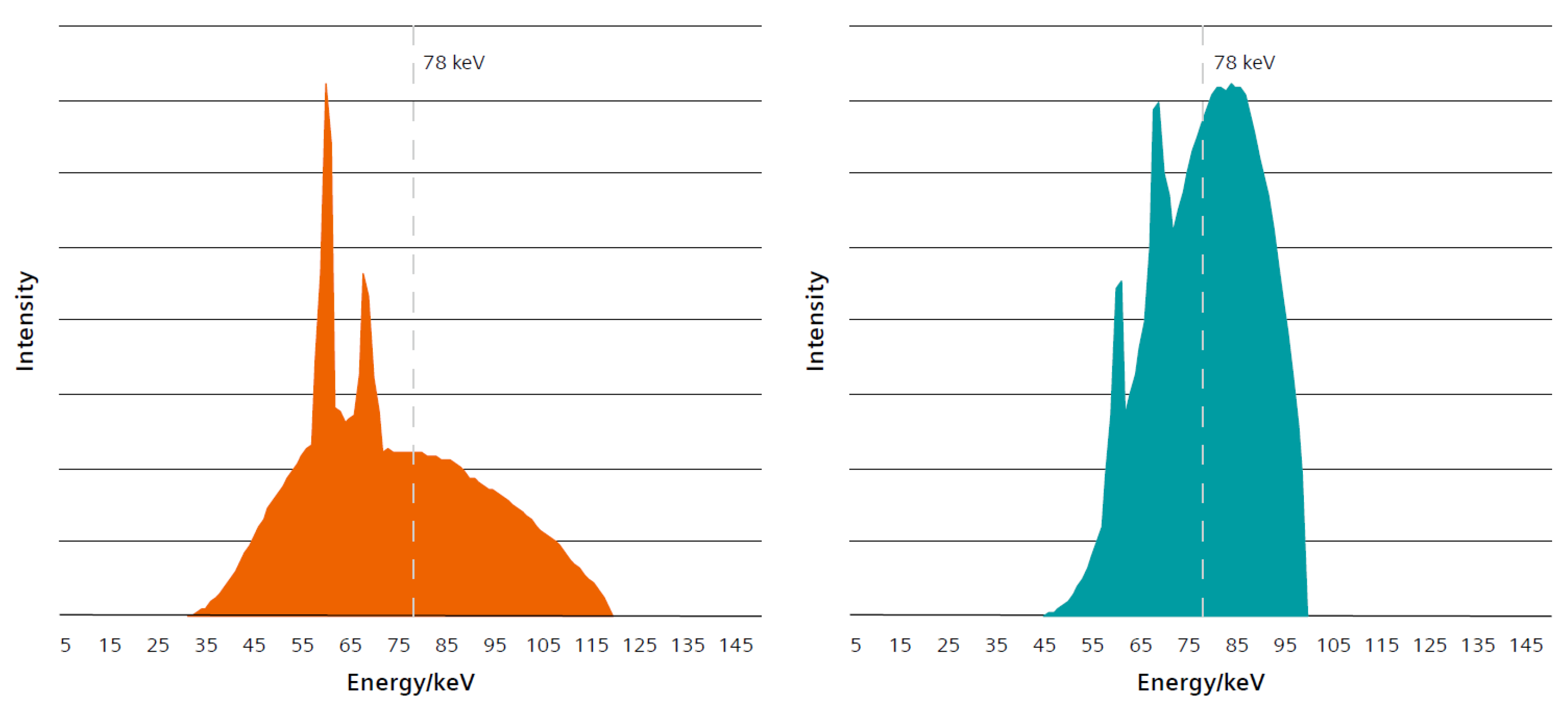 Diagnostics 11 01835 g001