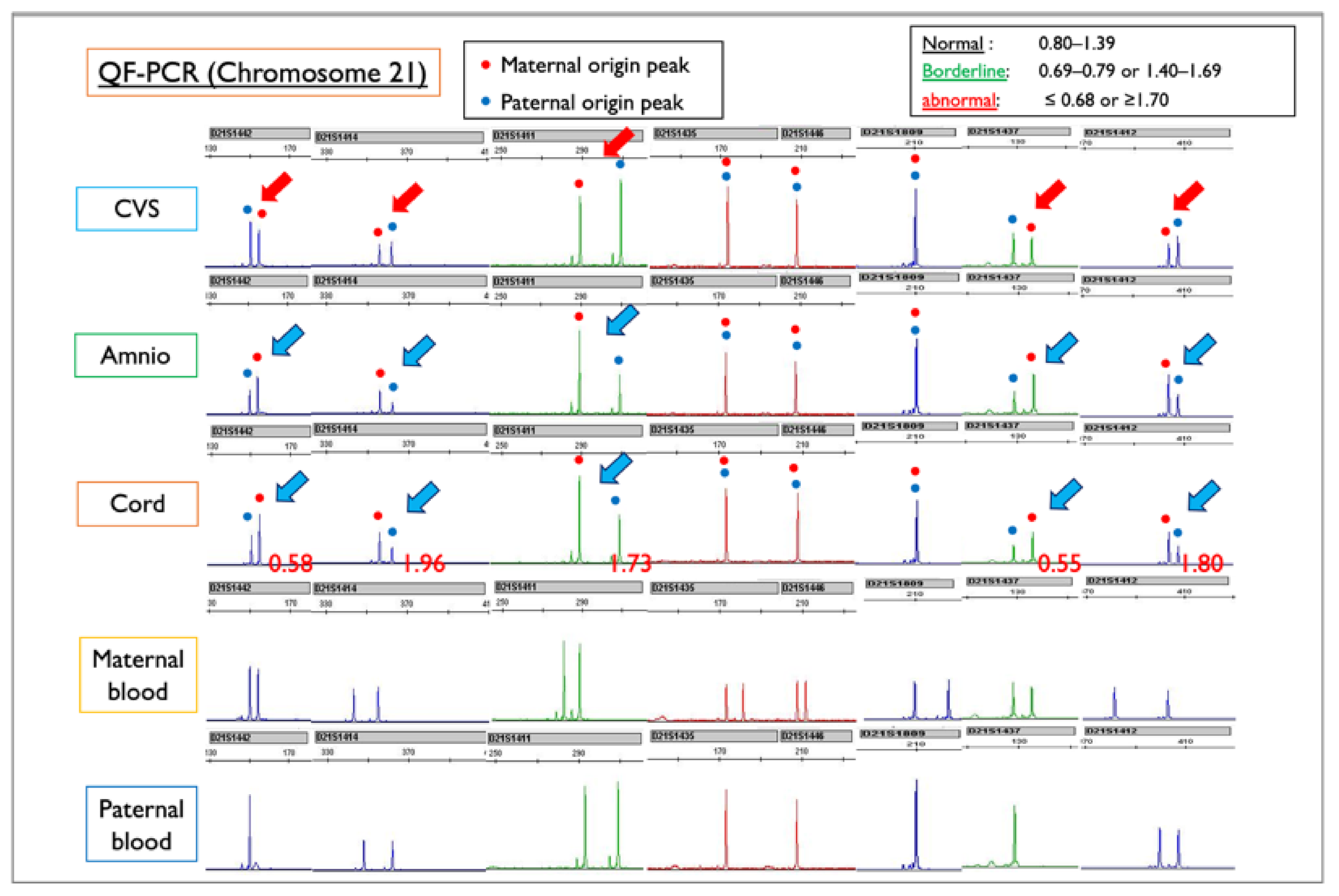Diagnostics 11 01837 g010