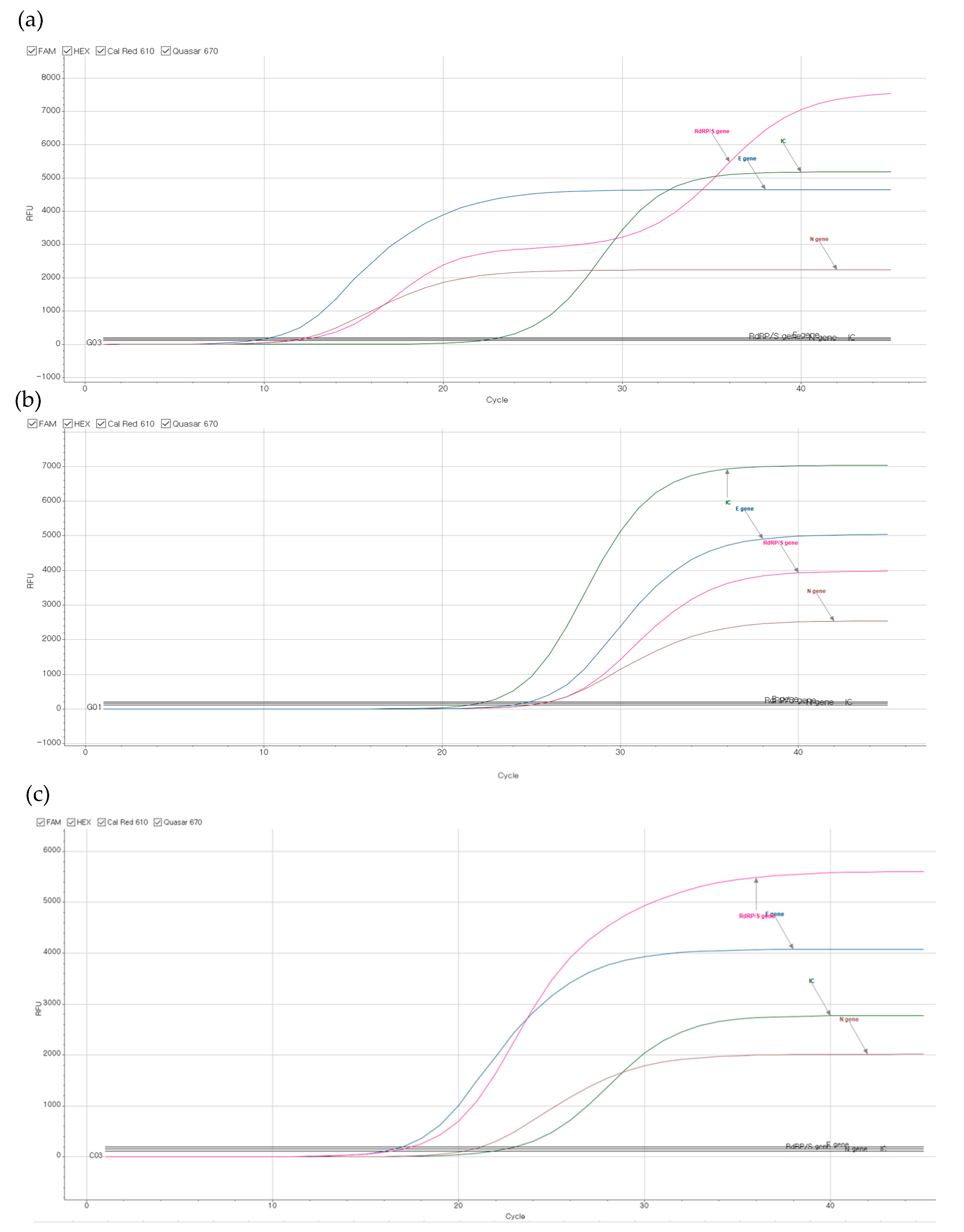 Diagnostics 11 01854 g001