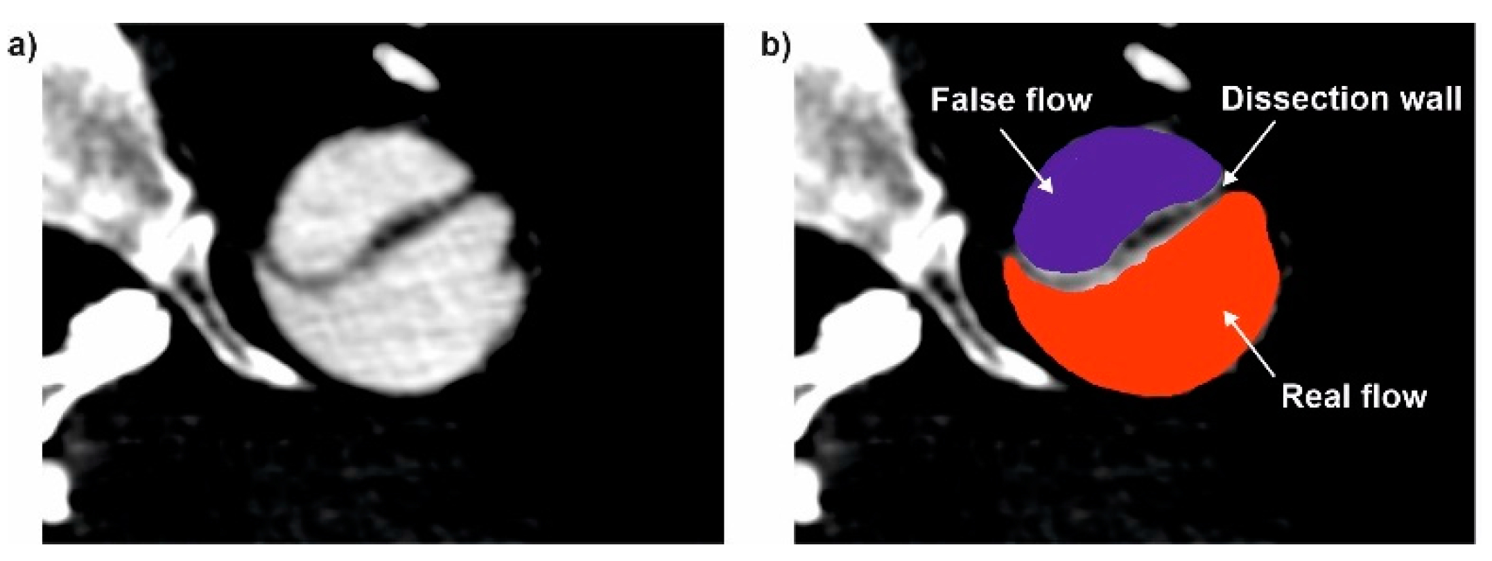 Diagnostics 11 01866 g001