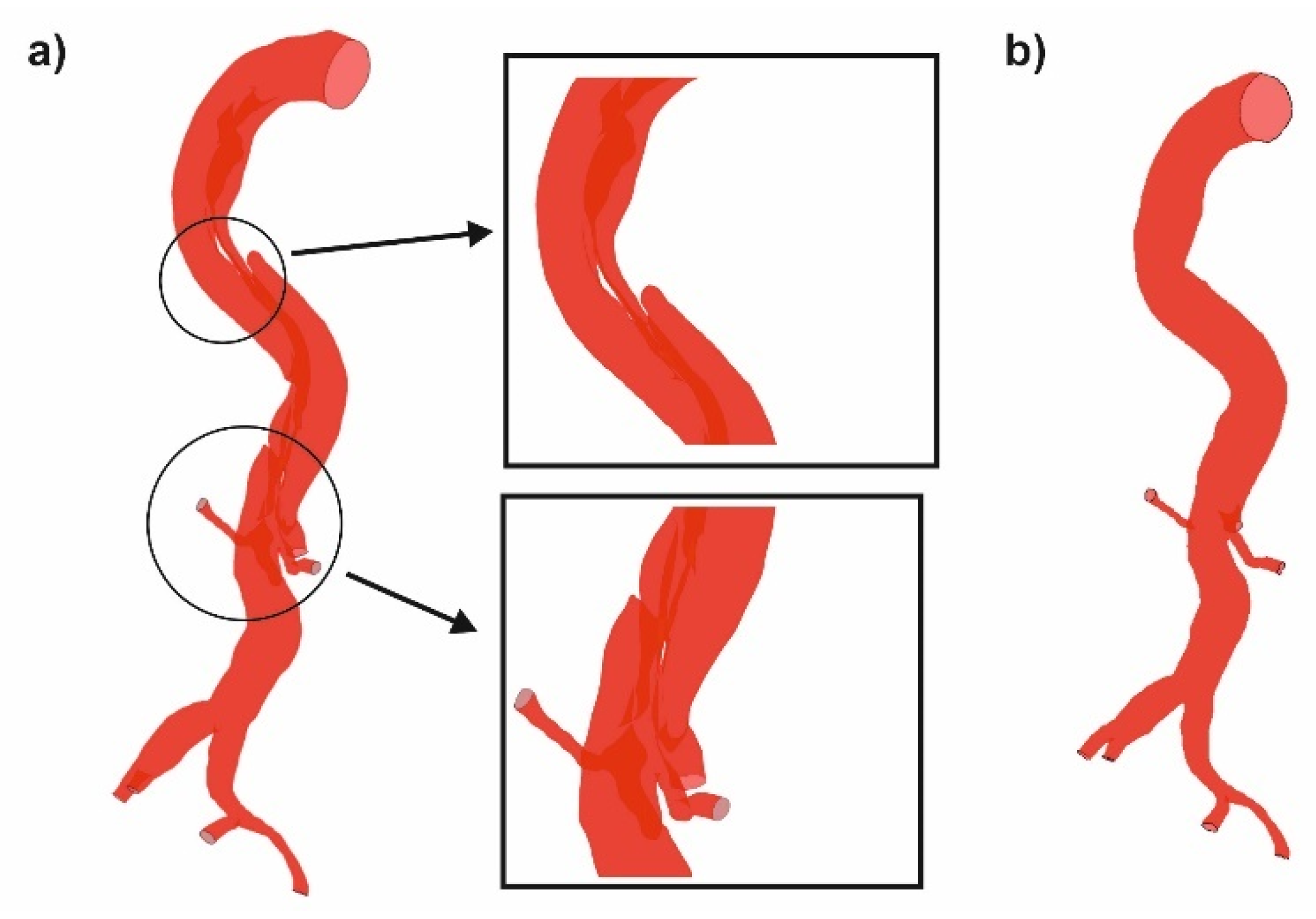 Diagnostics 11 01866 g002
