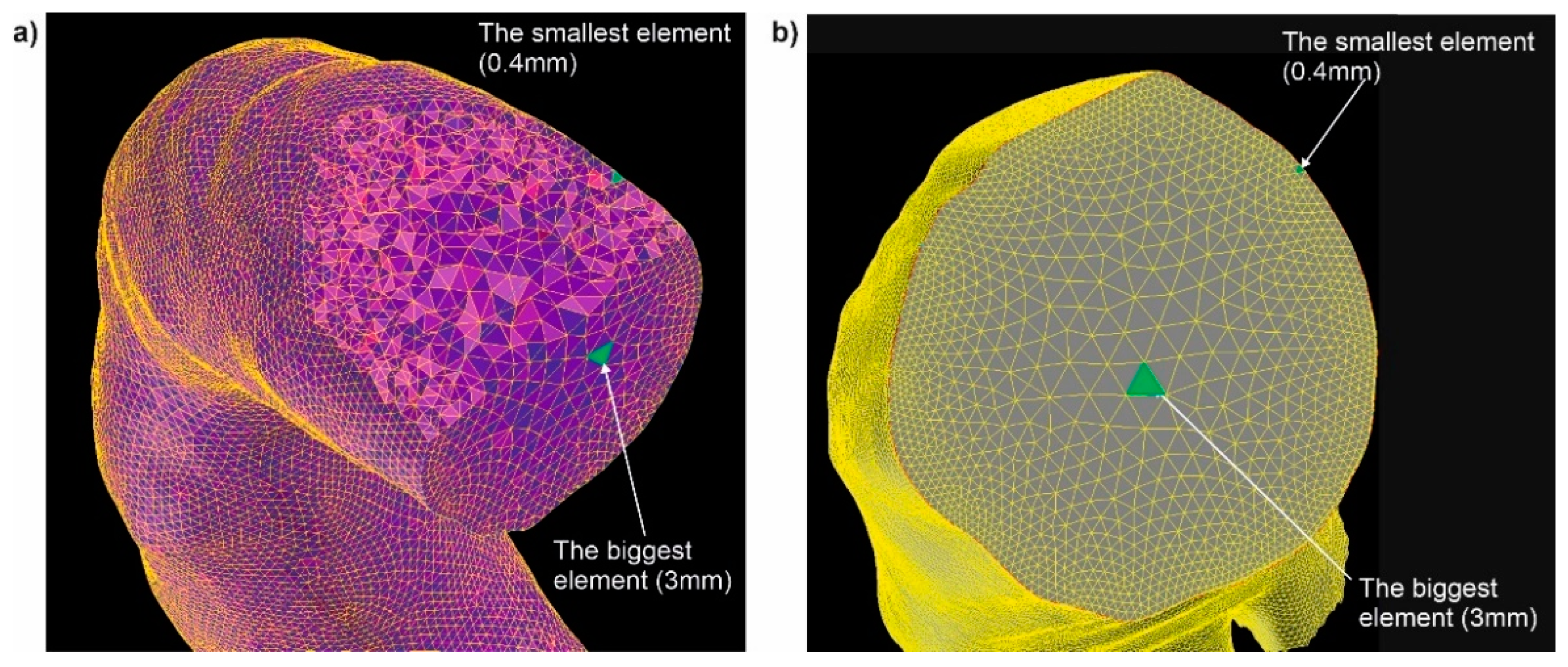 Diagnostics 11 01866 g003
