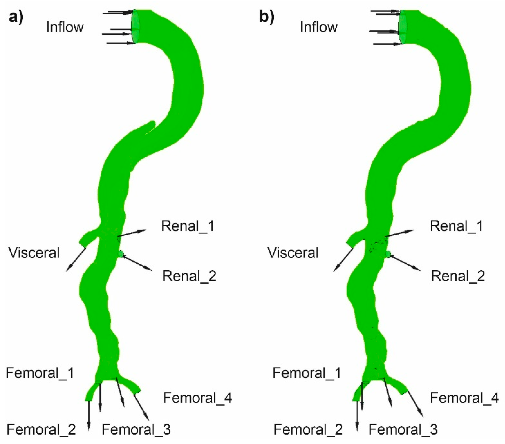 Diagnostics 11 01866 g004