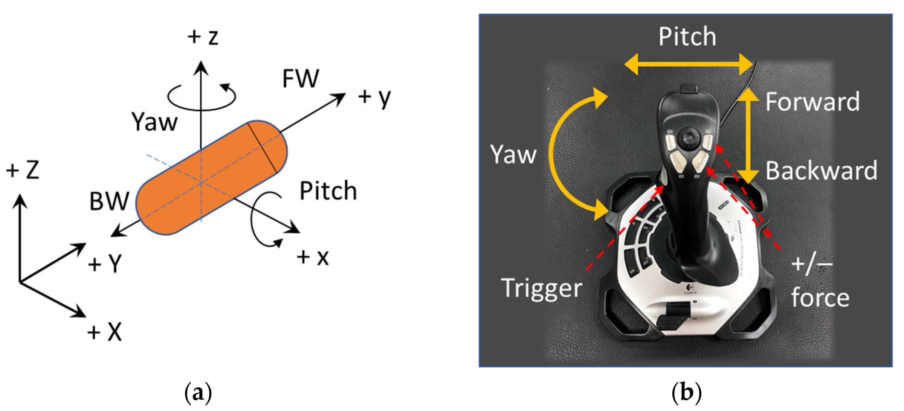 Diagnostics 11 01878 g002