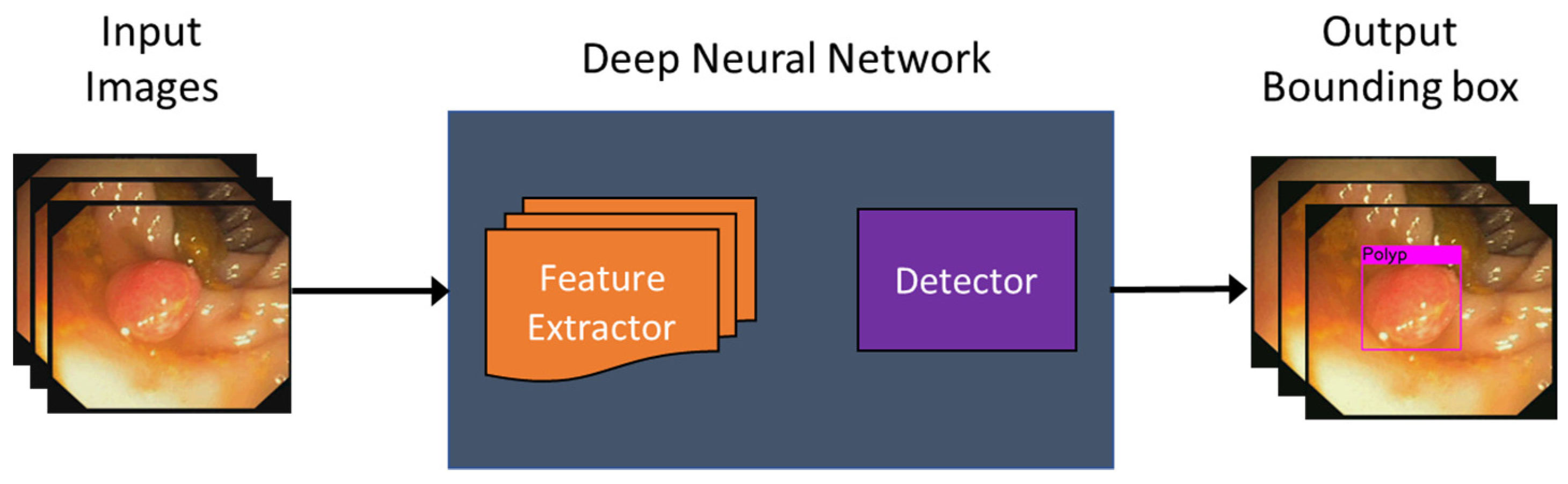 Diagnostics 11 01878 g005