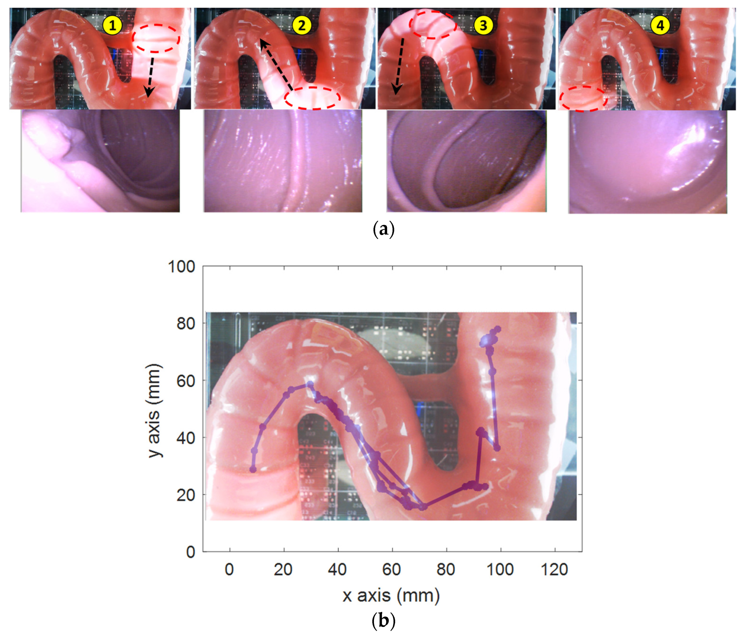 Diagnostics 11 01878 g008