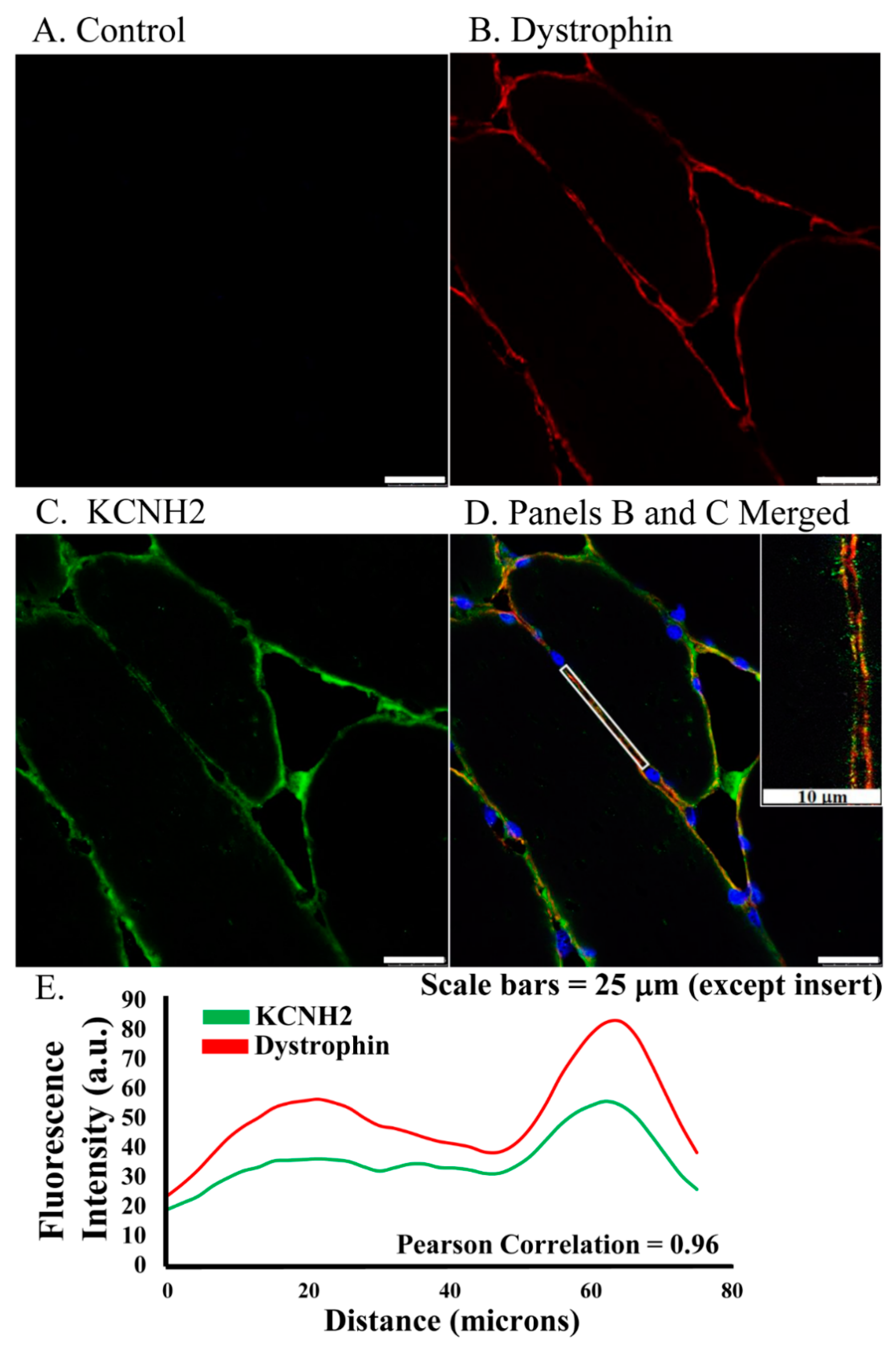 Diagnostics 11 01879 g001