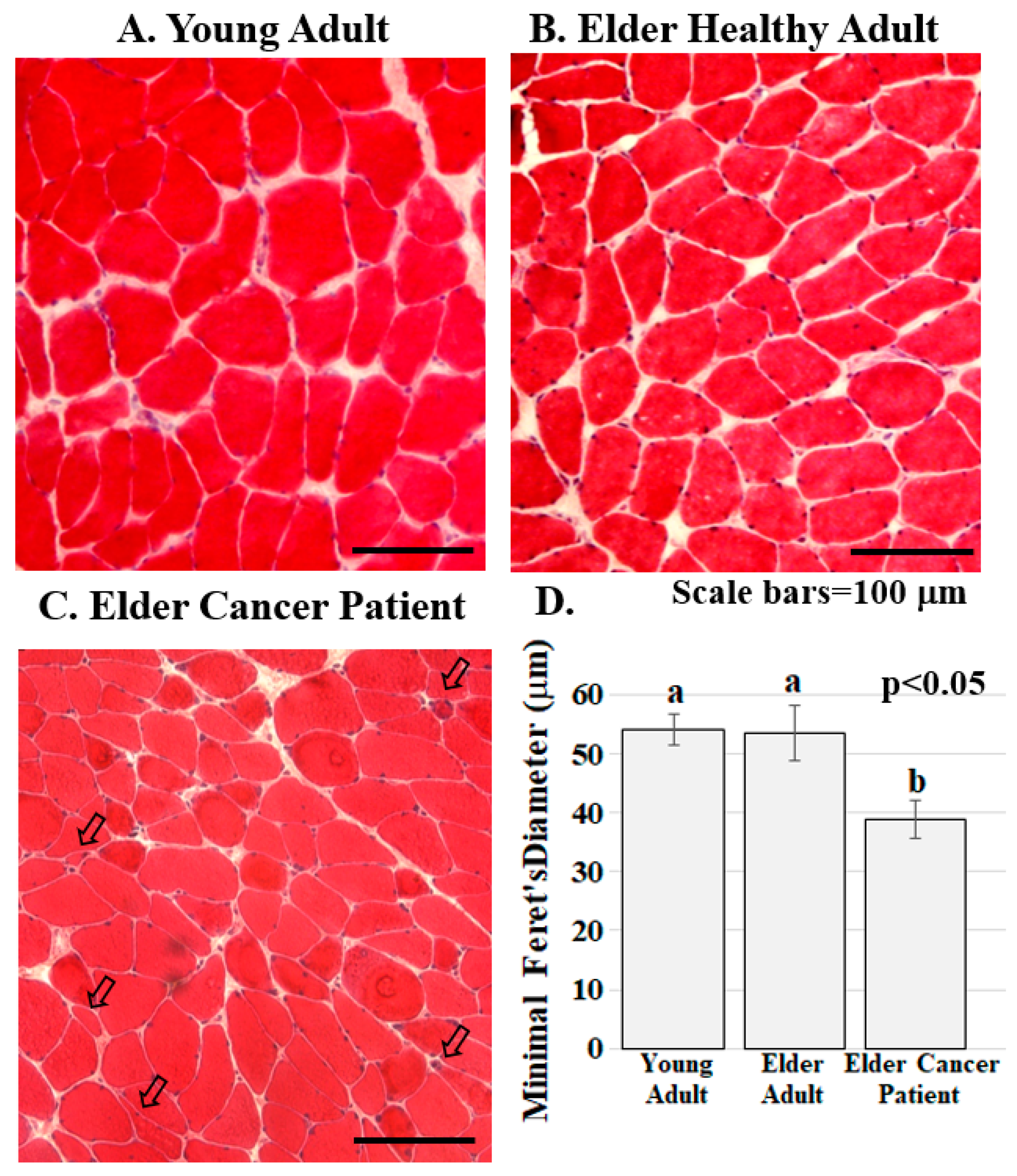 Diagnostics 11 01879 g002