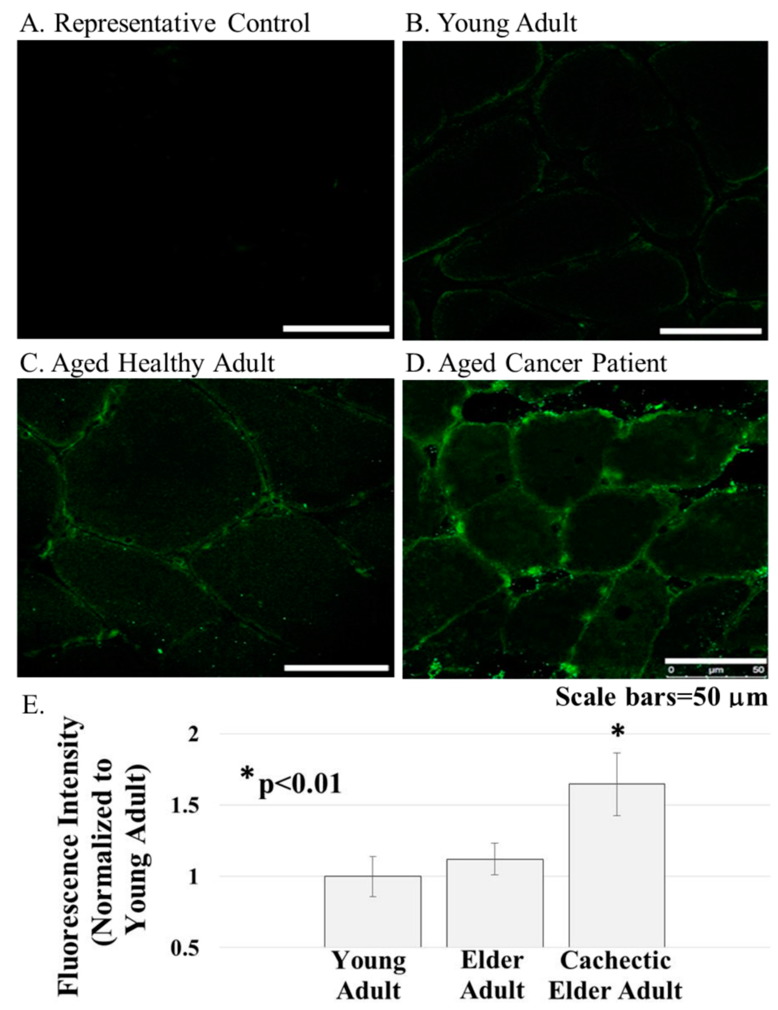 Diagnostics 11 01879 g003