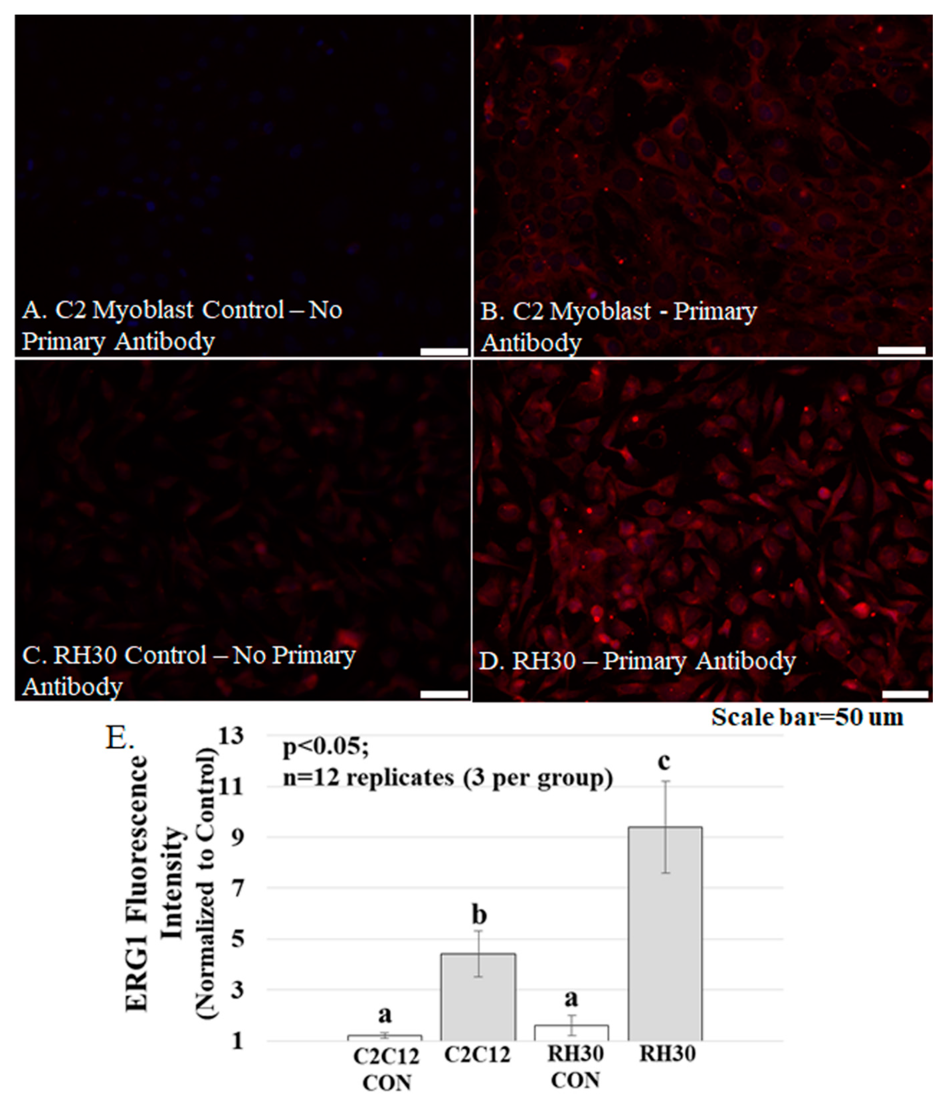 Diagnostics 11 01879 g005