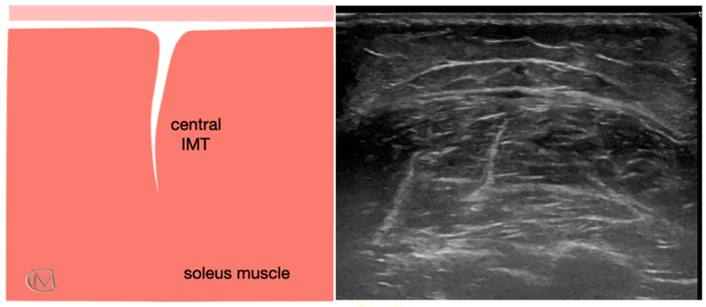 Diagnostics 11 01884 g001