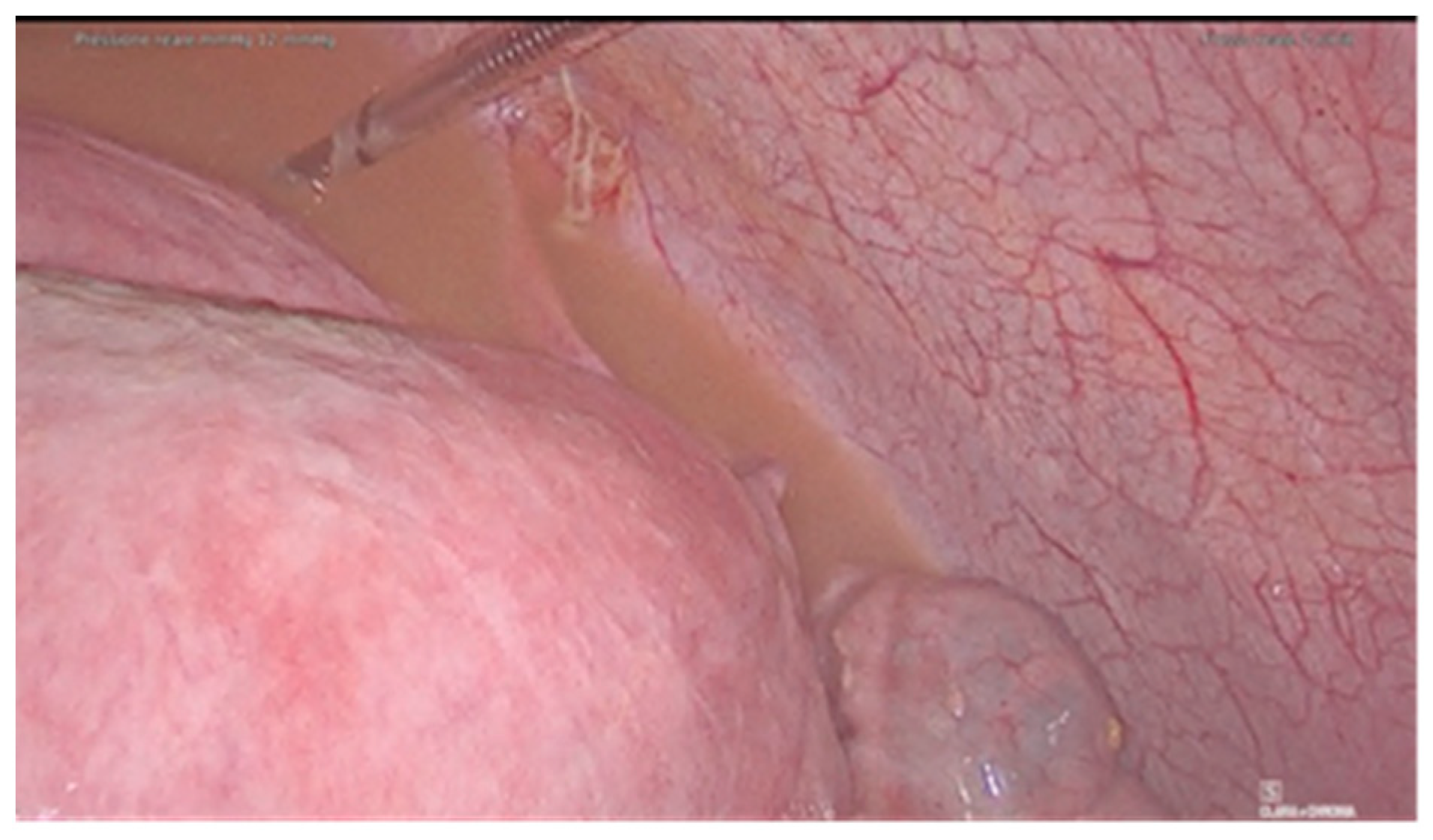 Diagnostics 11 01885 g001