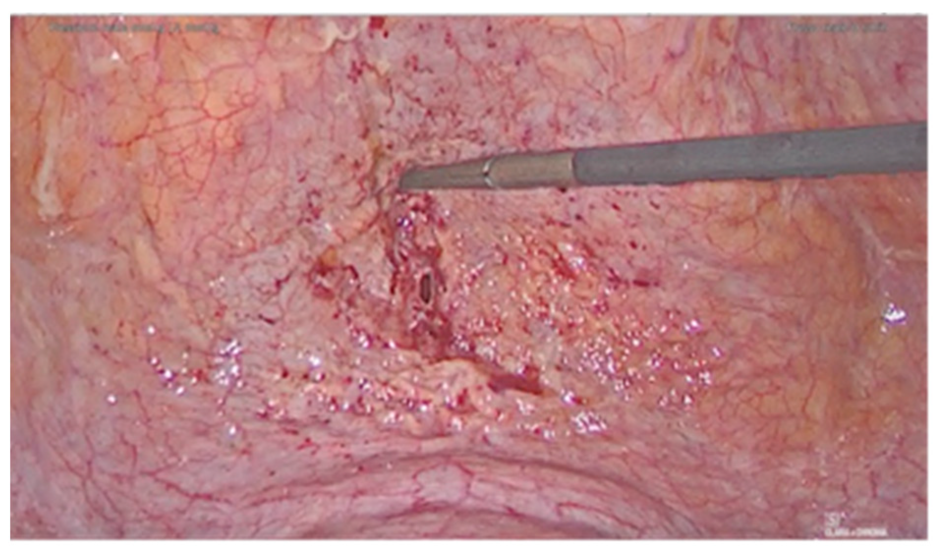 Diagnostics 11 01885 g002