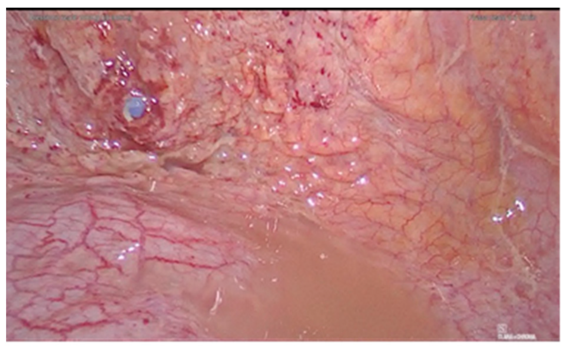 Diagnostics 11 01885 g003