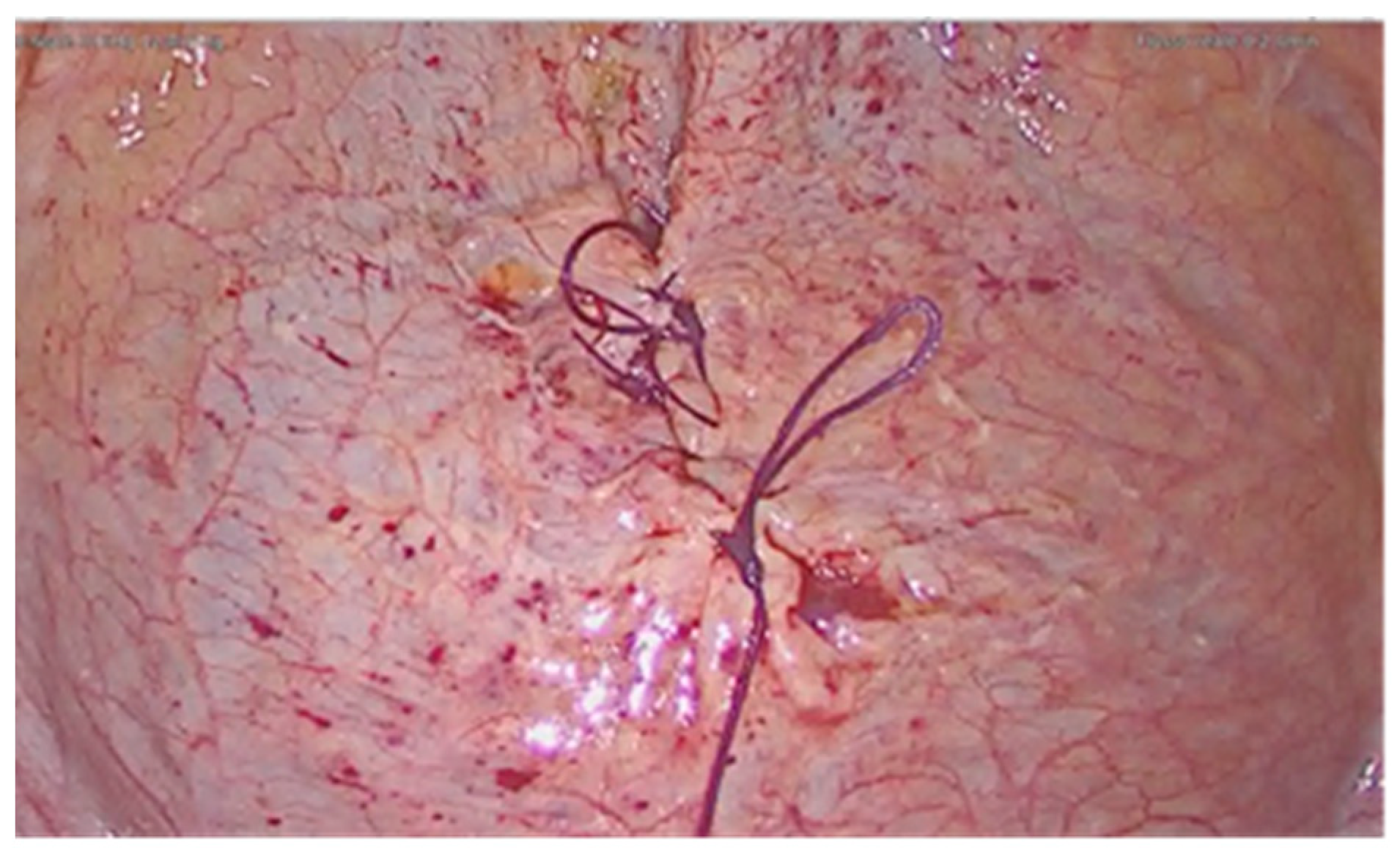 Diagnostics 11 01885 g004