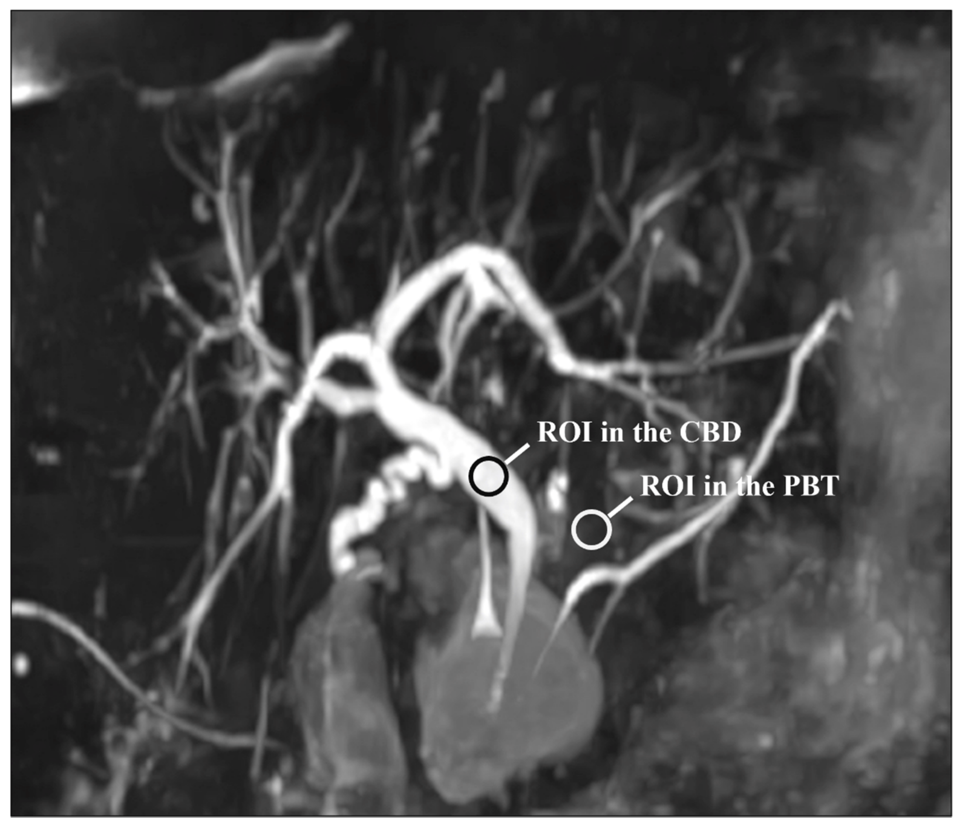 Diagnostics 11 01886 g001