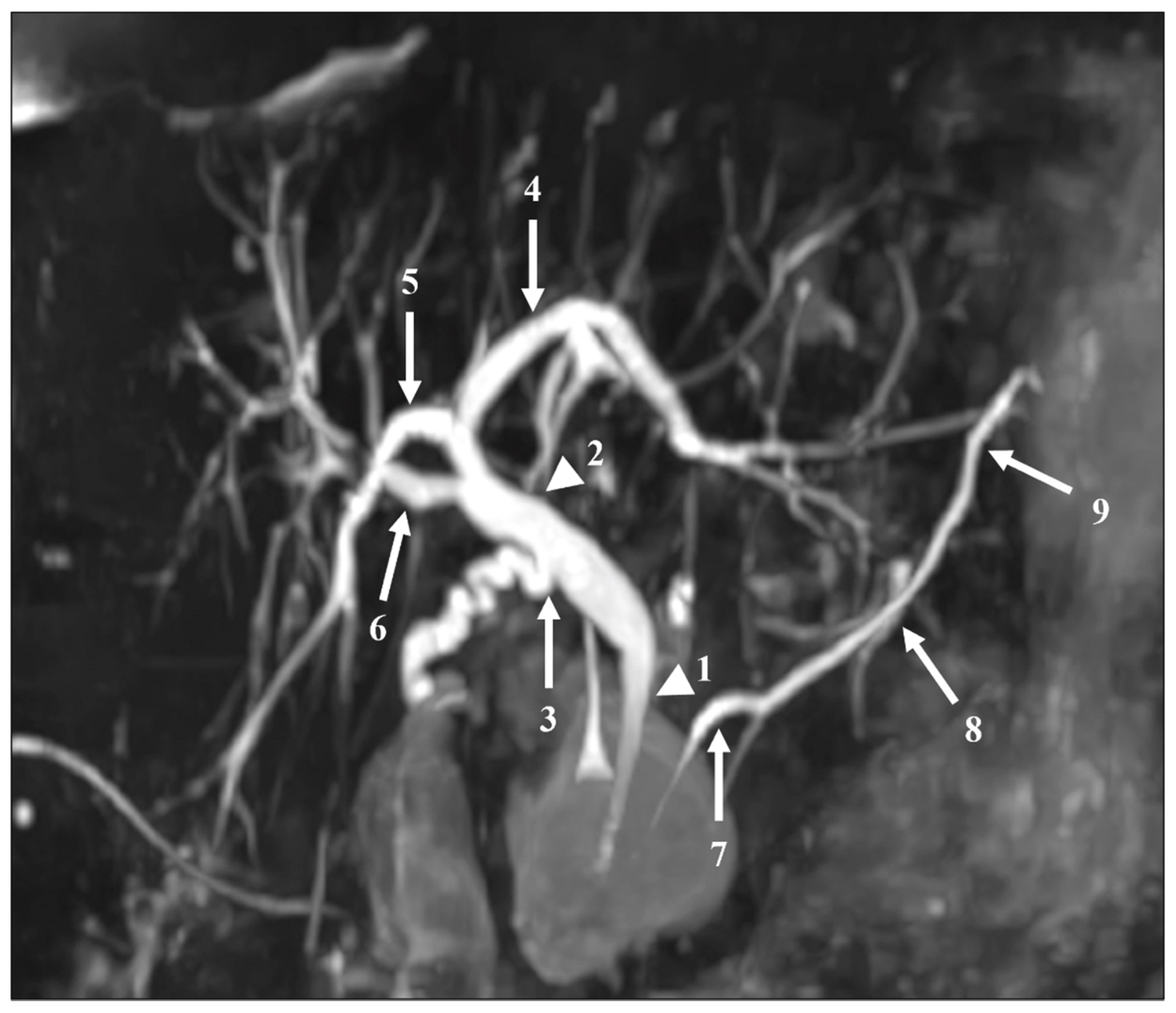 Diagnostics 11 01886 g002