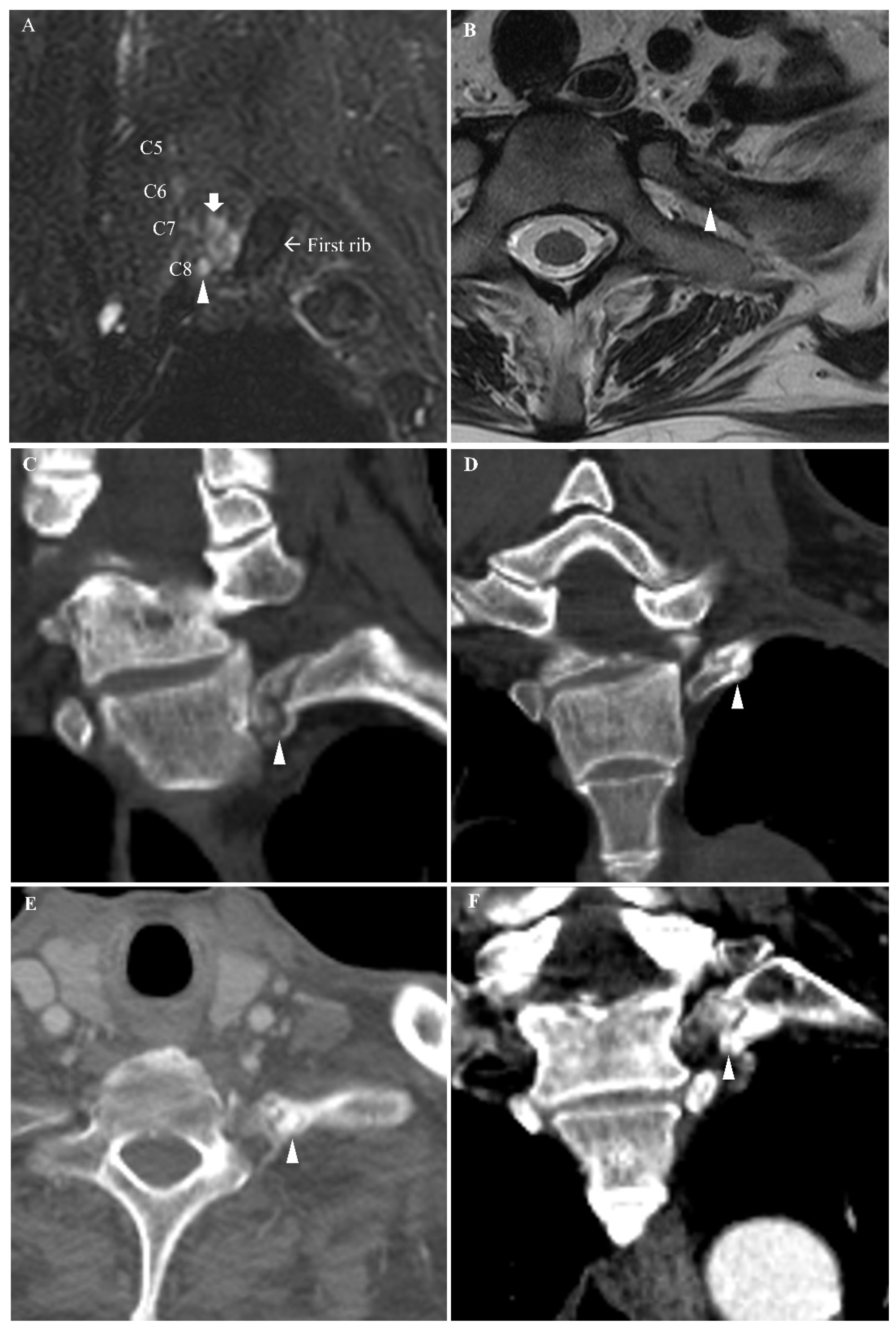 Diagnostics 11 01896 g001