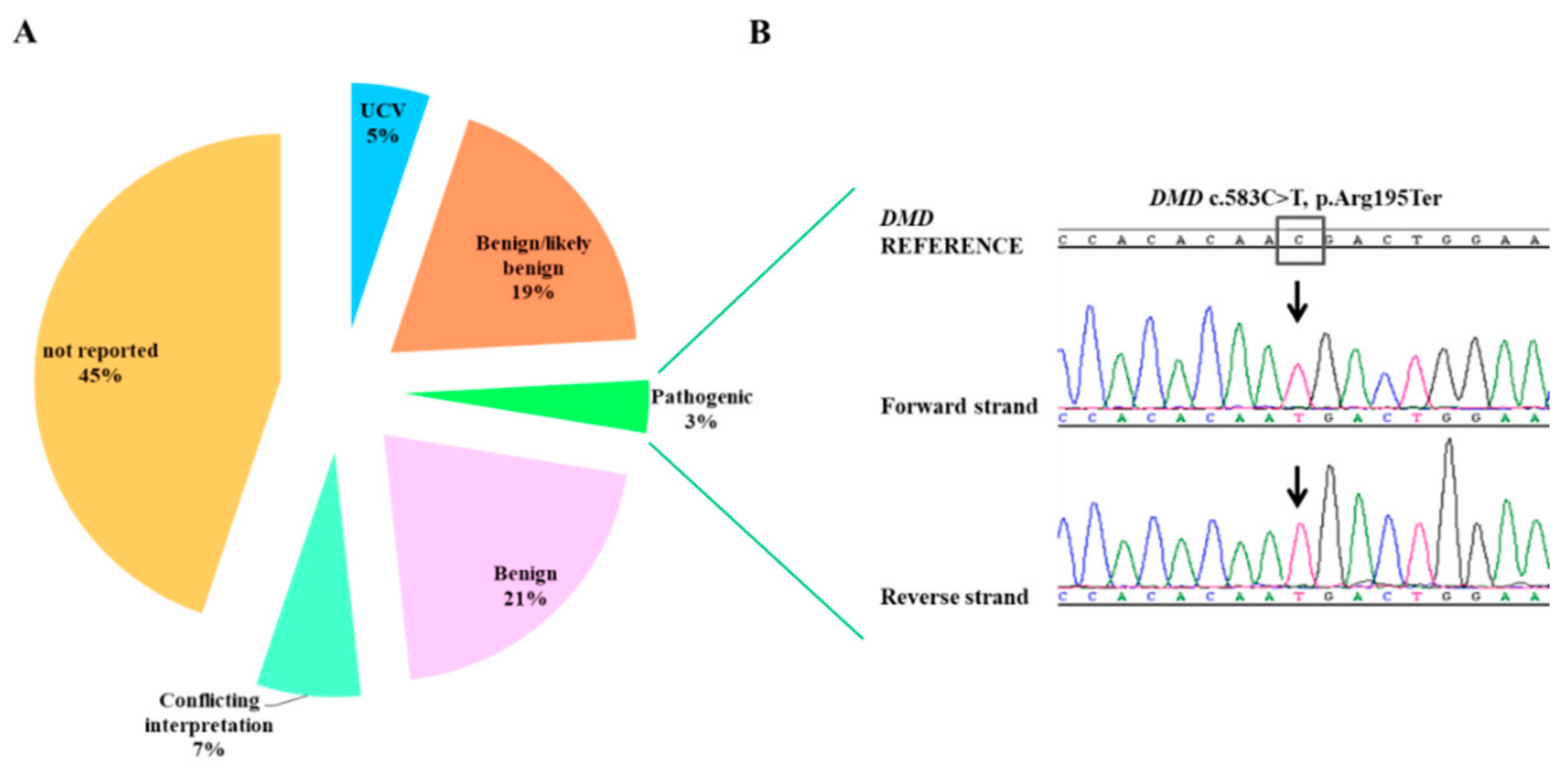 Diagnostics 11 01910 g002