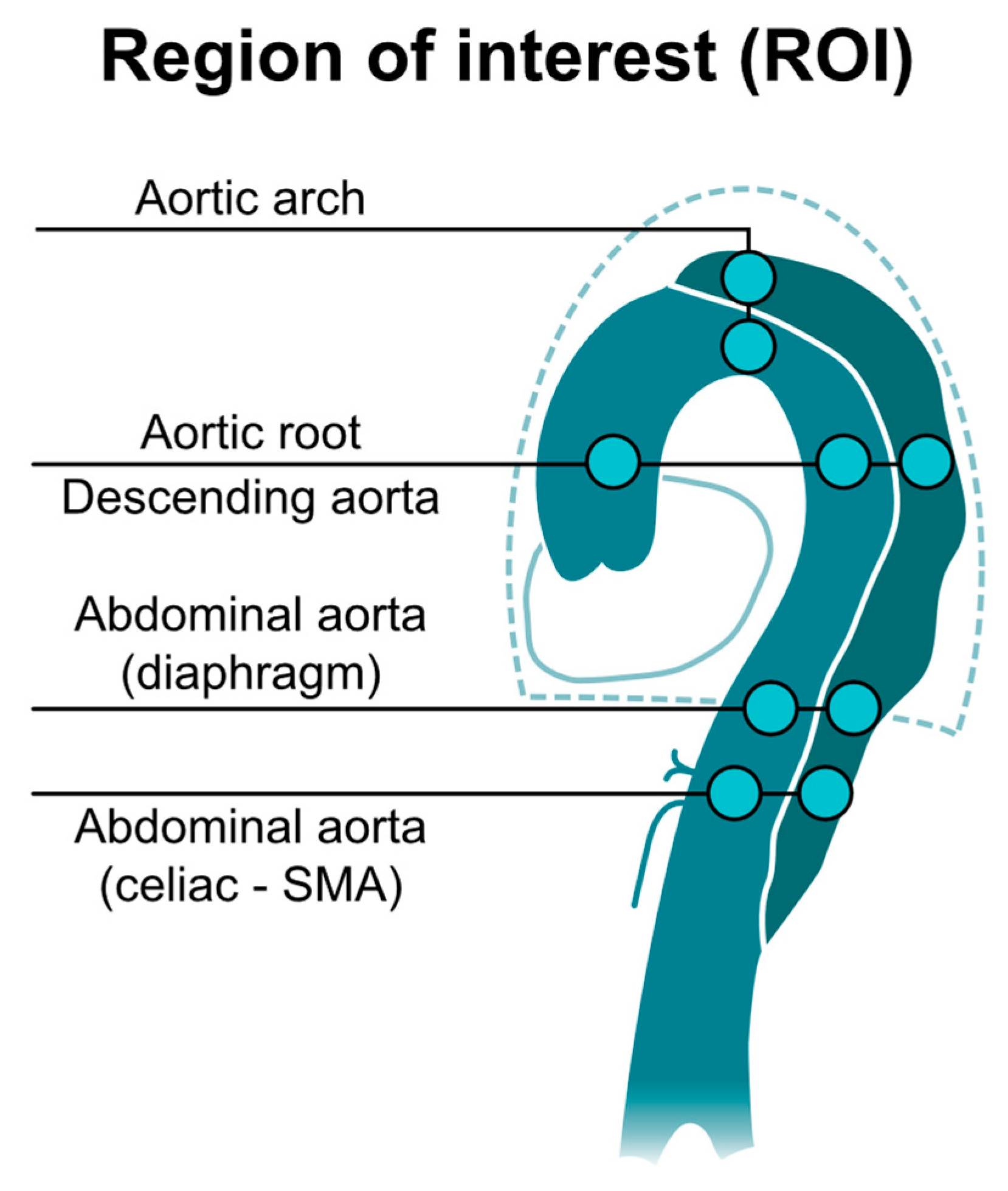 Diagnostics 11 01912 g001