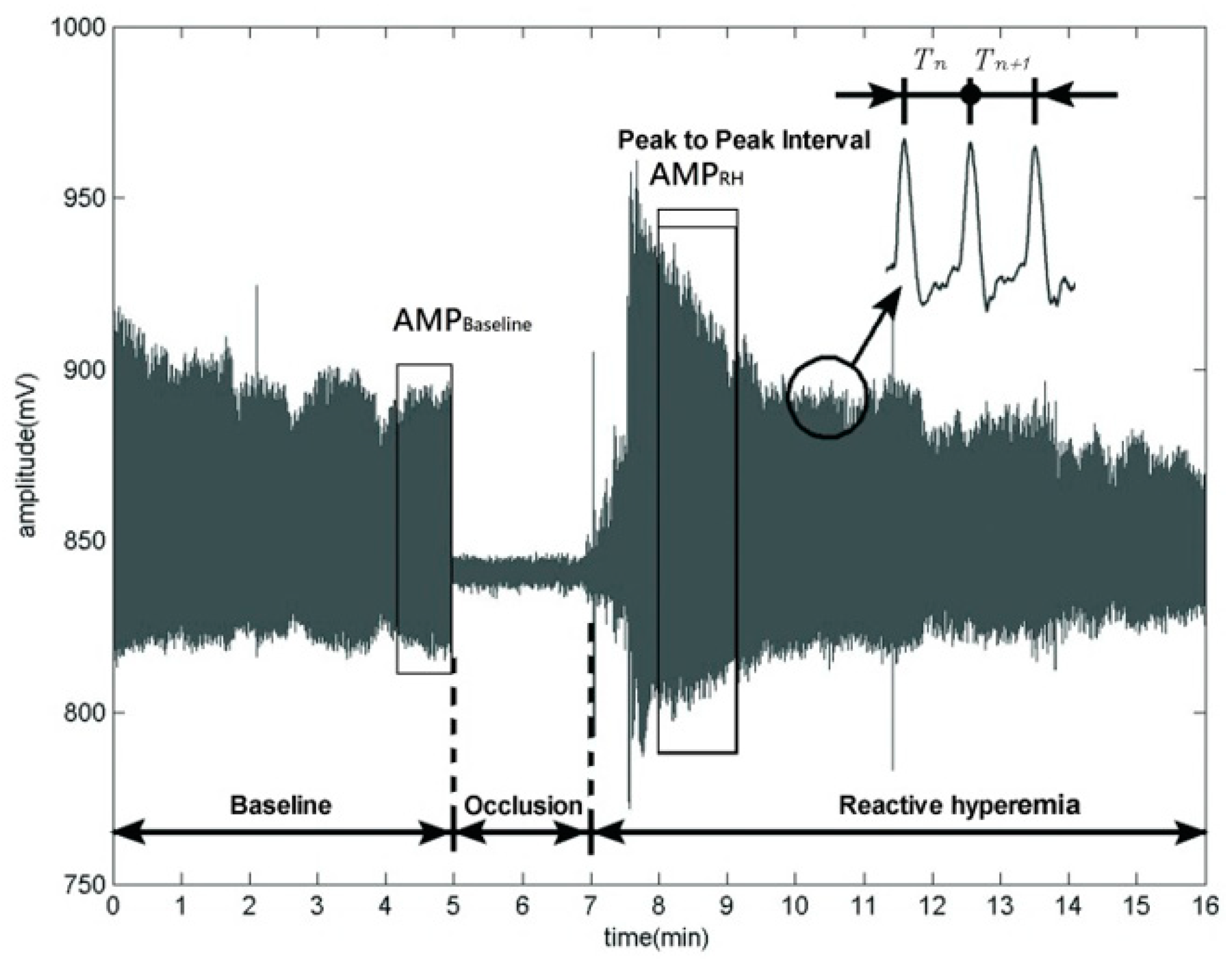 Diagnostics 11 01918 g002