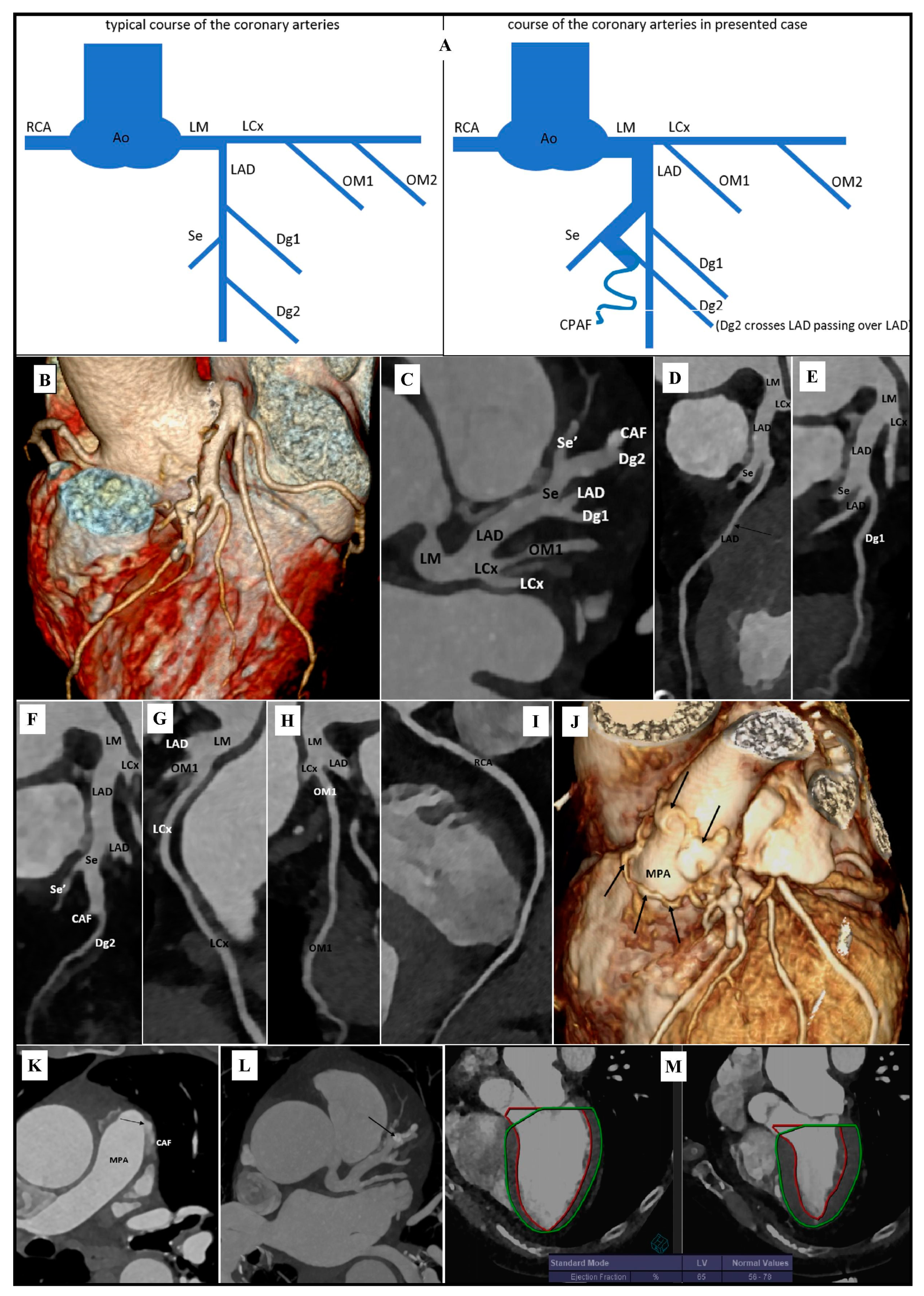 Diagnostics 11 01921 g001