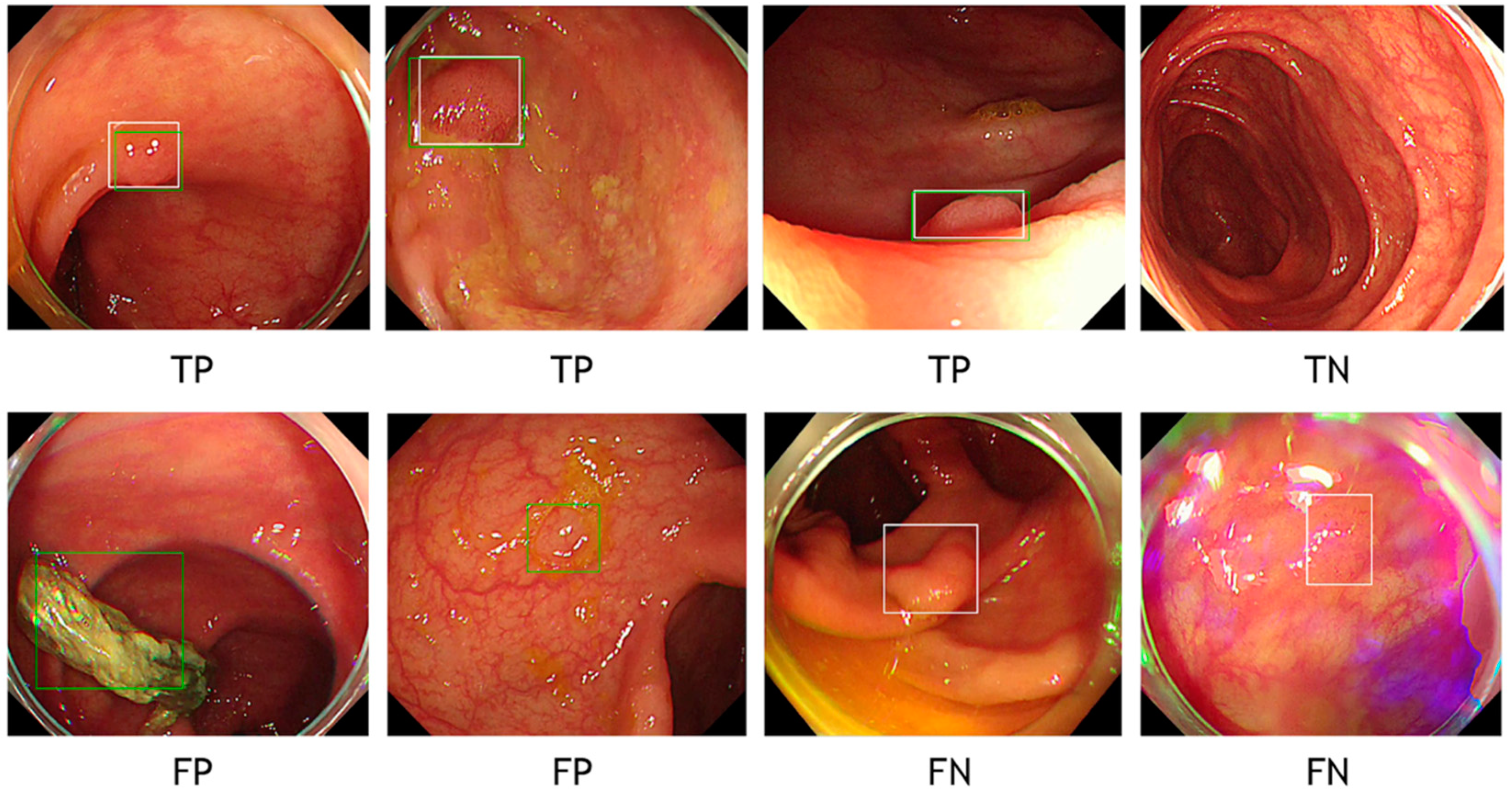 Diagnostics 11 01922 g002