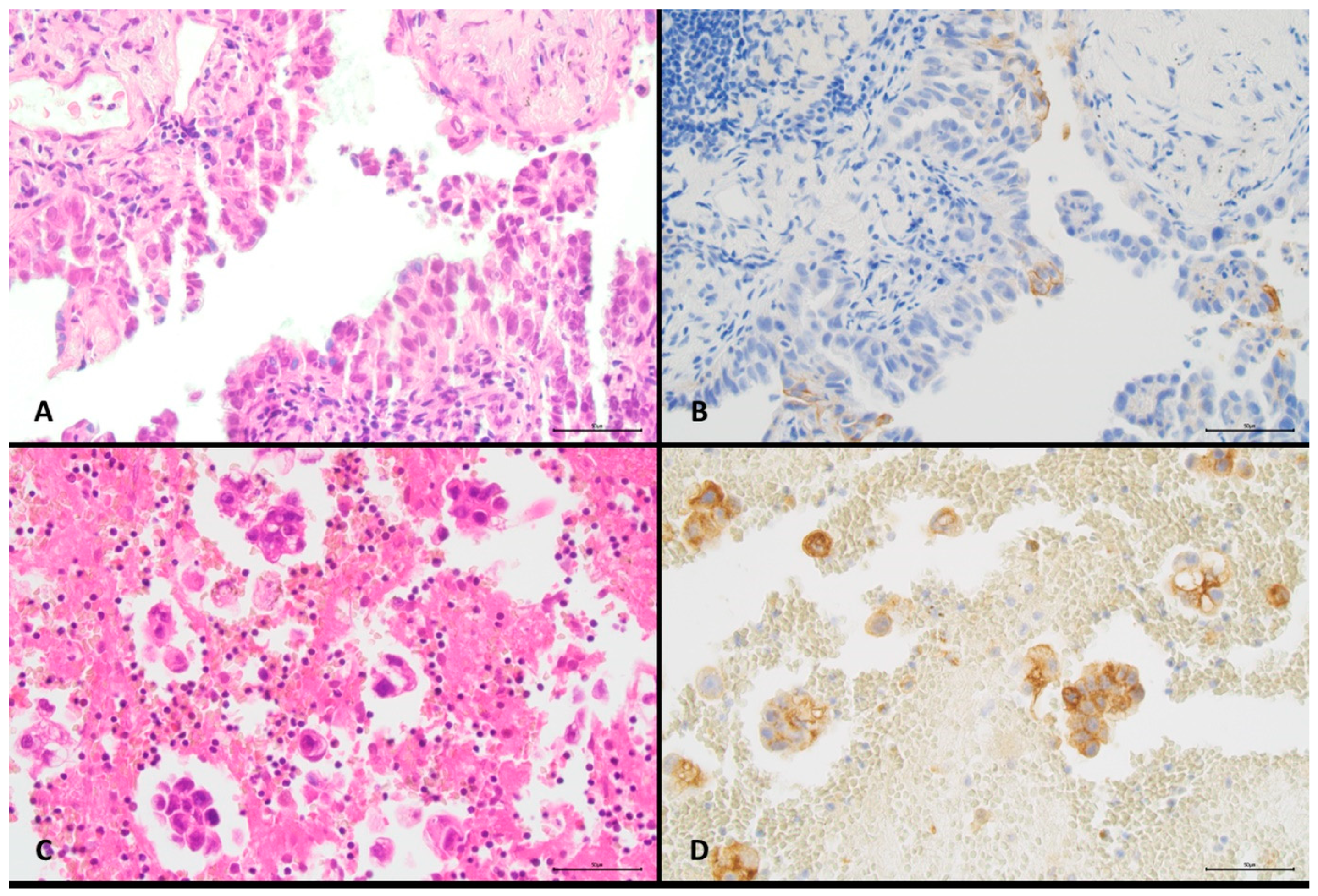 Diagnostics 11 01927 g002