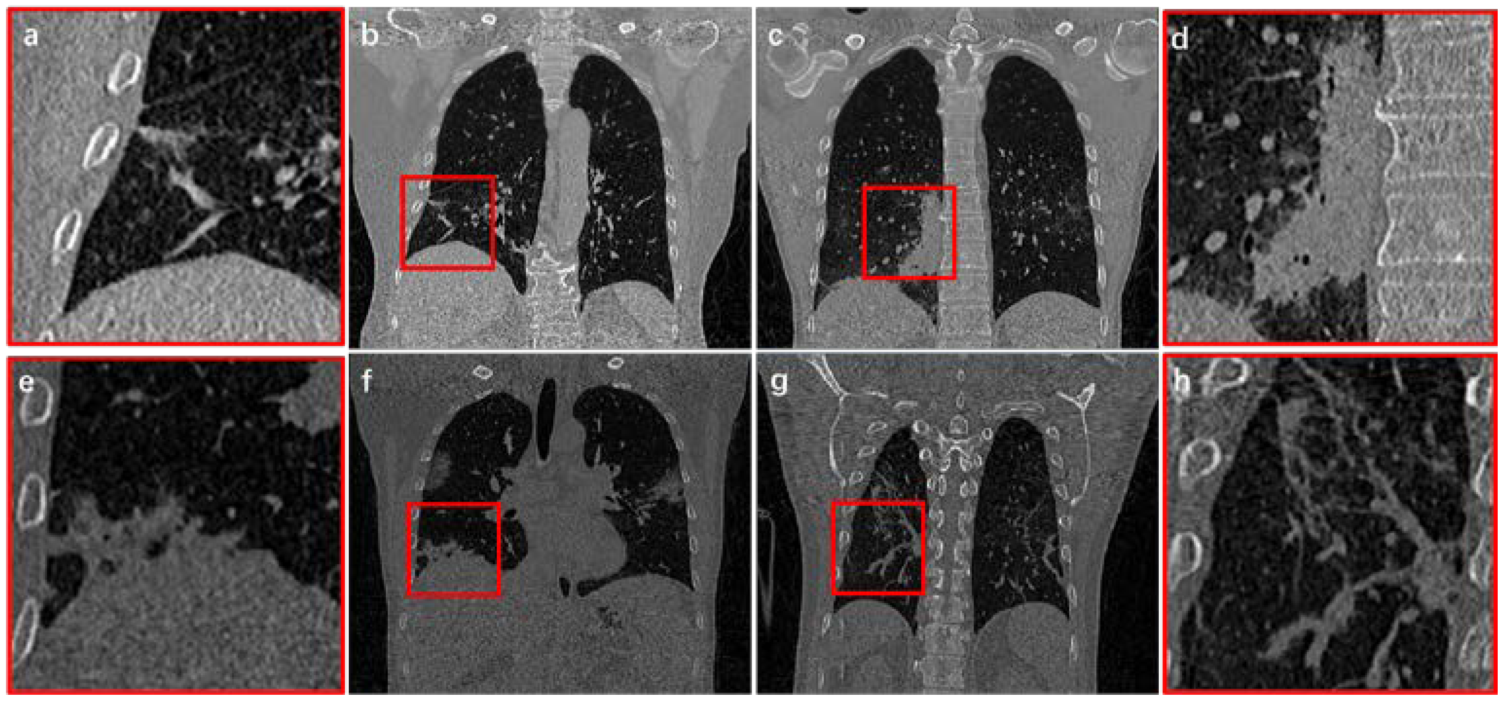 Diagnostics 11 01942 g001