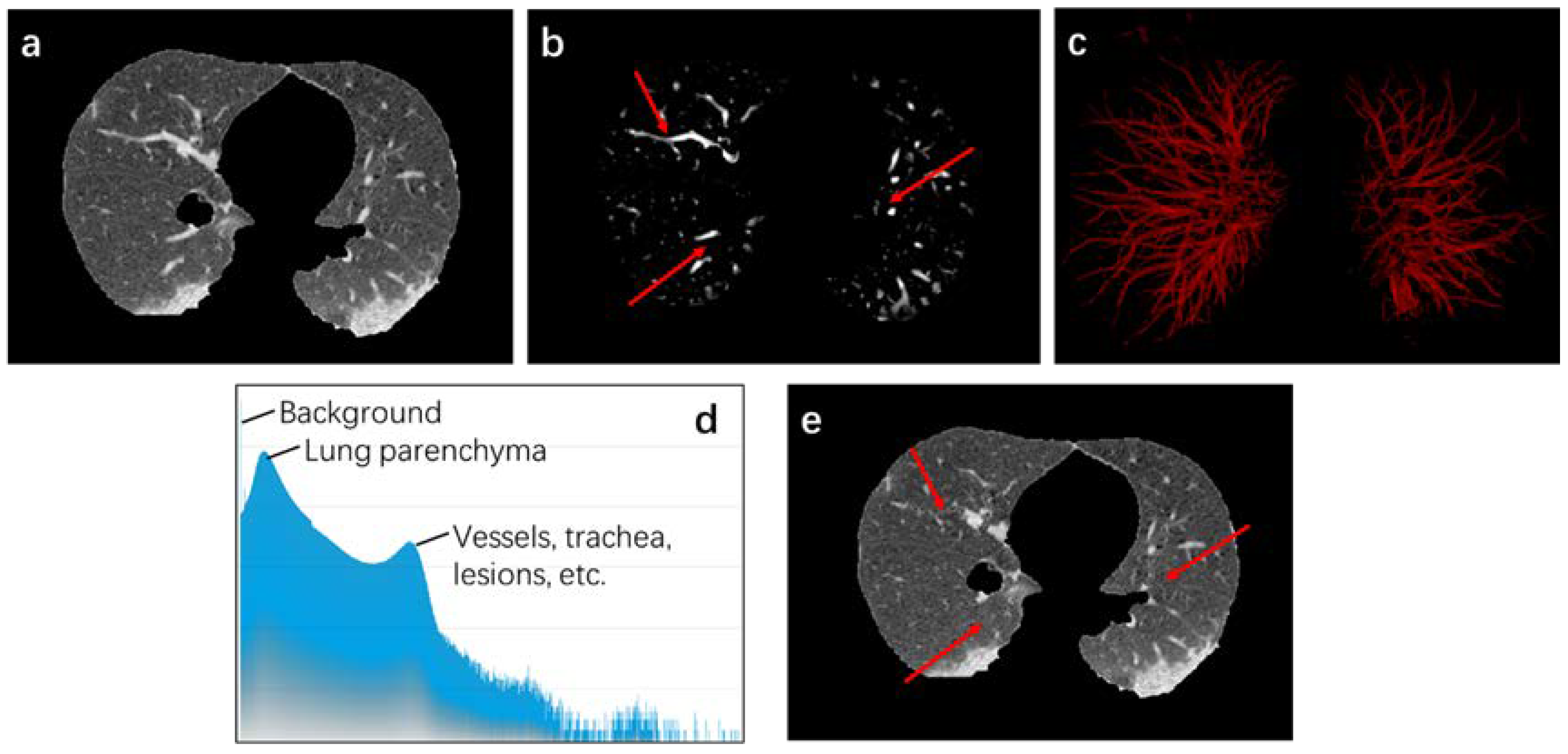 Diagnostics 11 01942 g004