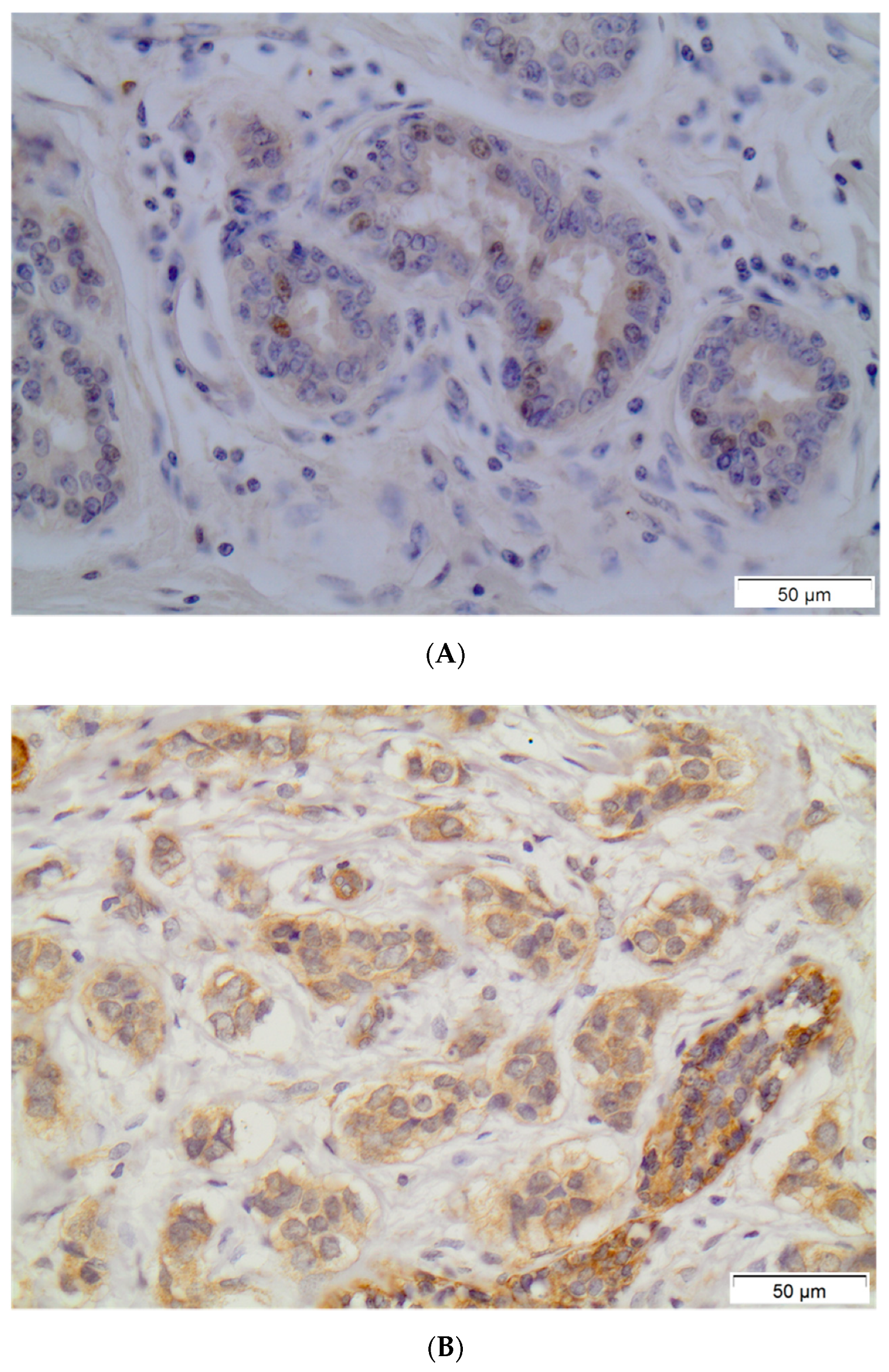 Diagnostics 11 01946 g001