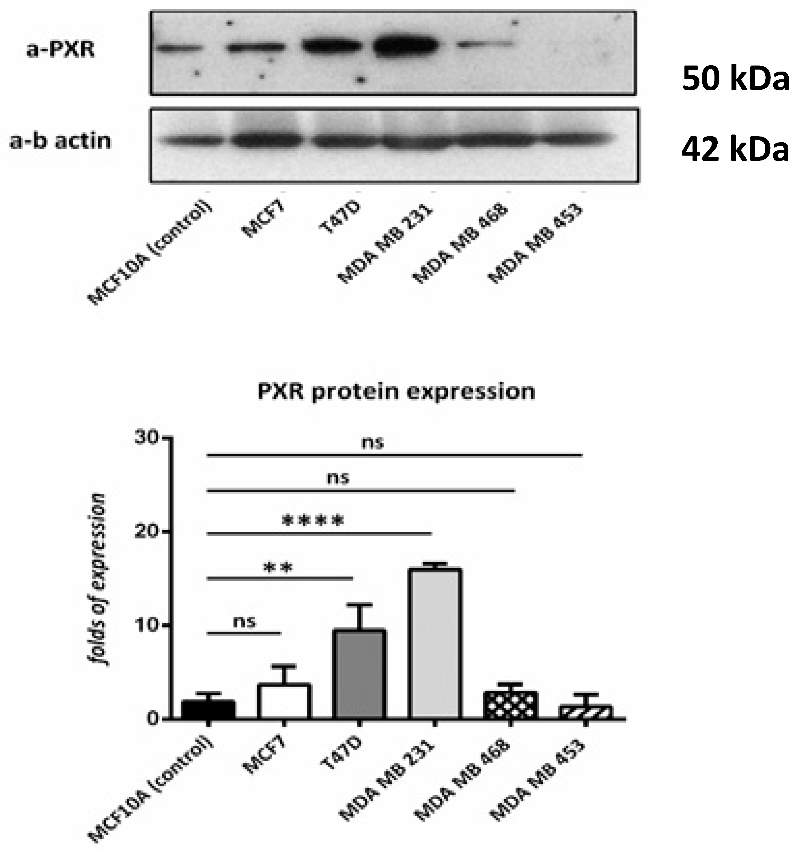 Diagnostics 11 01946 g003