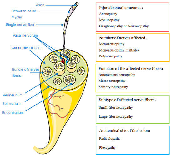 Diagnostics 11 01956 g001