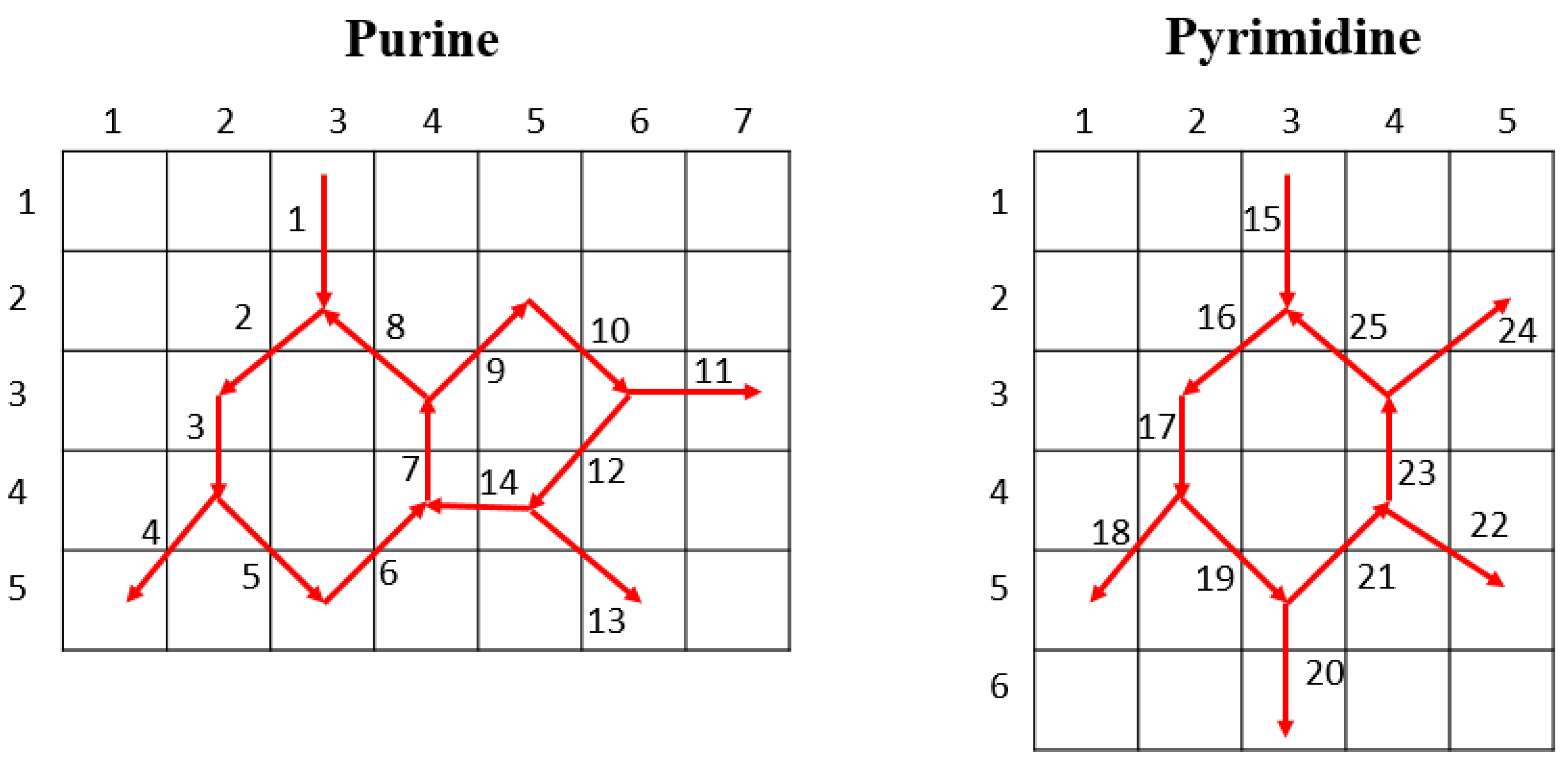 Diagnostics 11 01962 g002