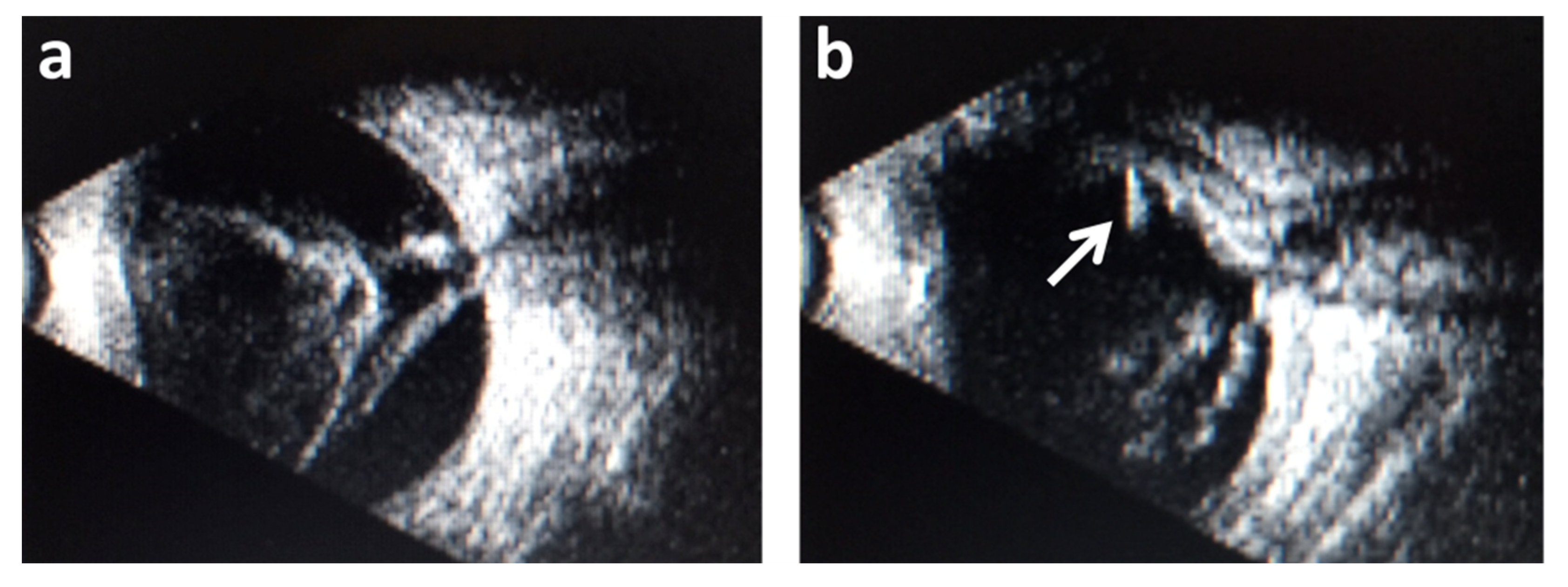 Diagnostics 11 02009 g001 Diagnostics 11 02009 g001