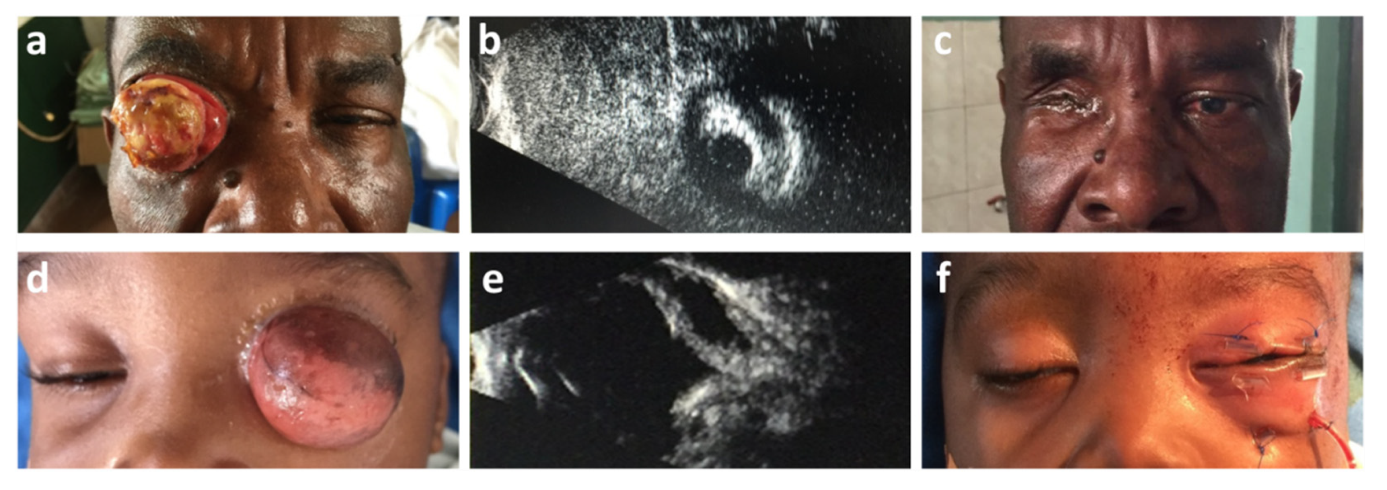 Diagnostics 11 02009 g002 Diagnostics 11 02009 g002