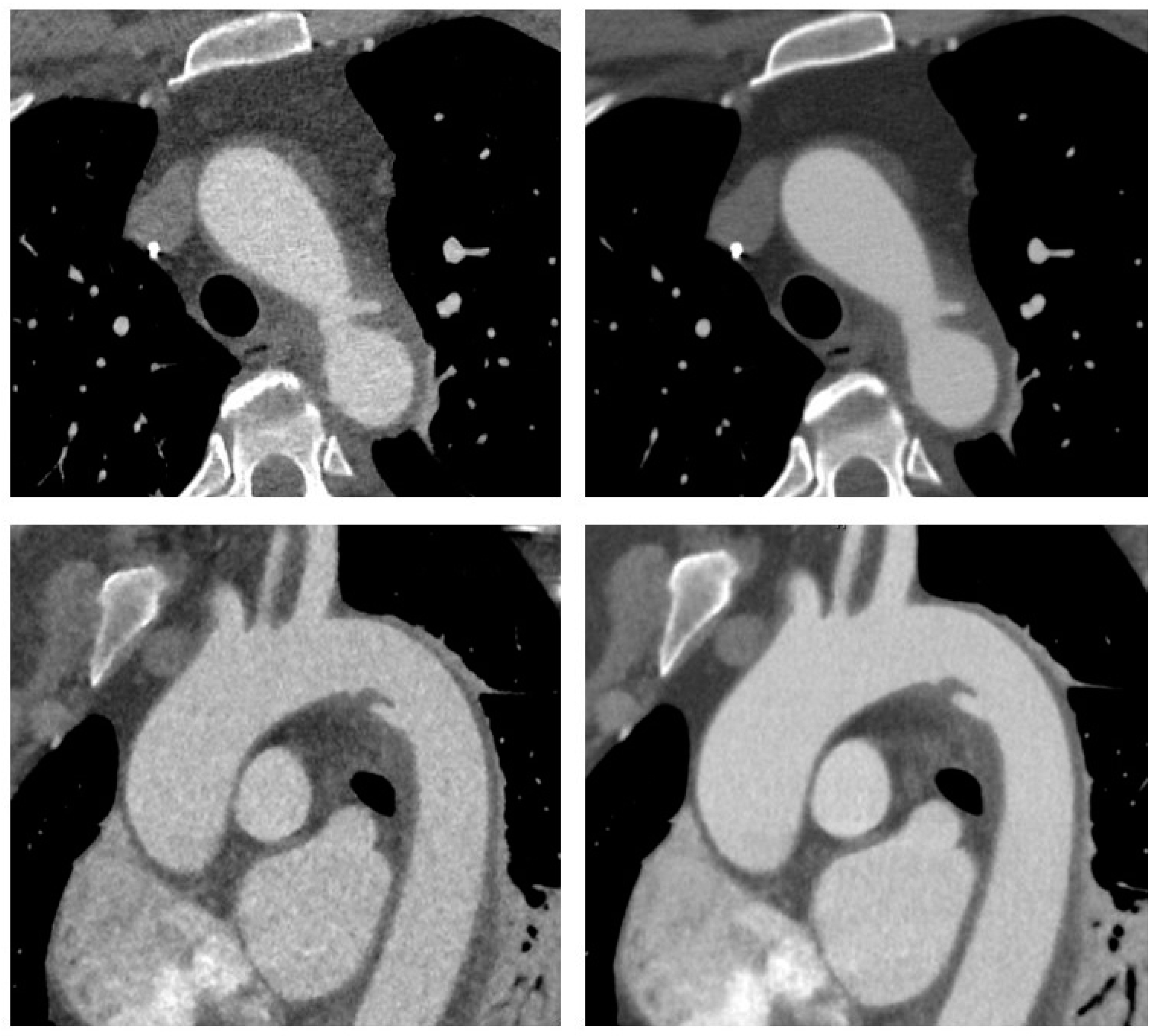Diagnostics 11 02037 g001 Diagnostics 11 02037 g001