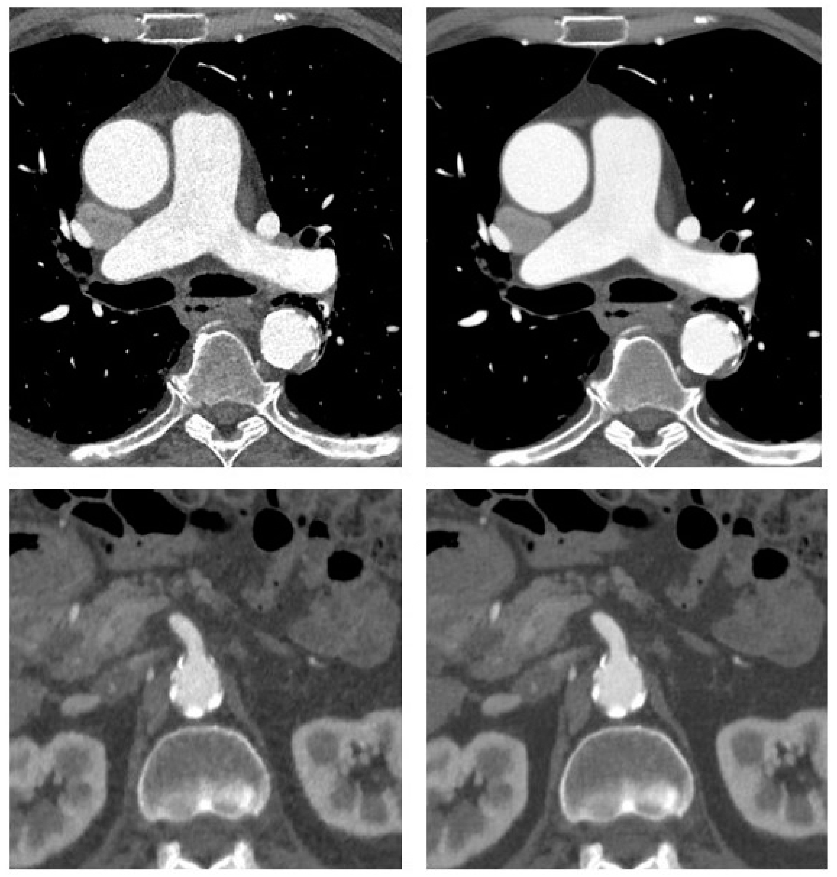 Diagnostics 11 02037 g002 Diagnostics 11 02037 g002