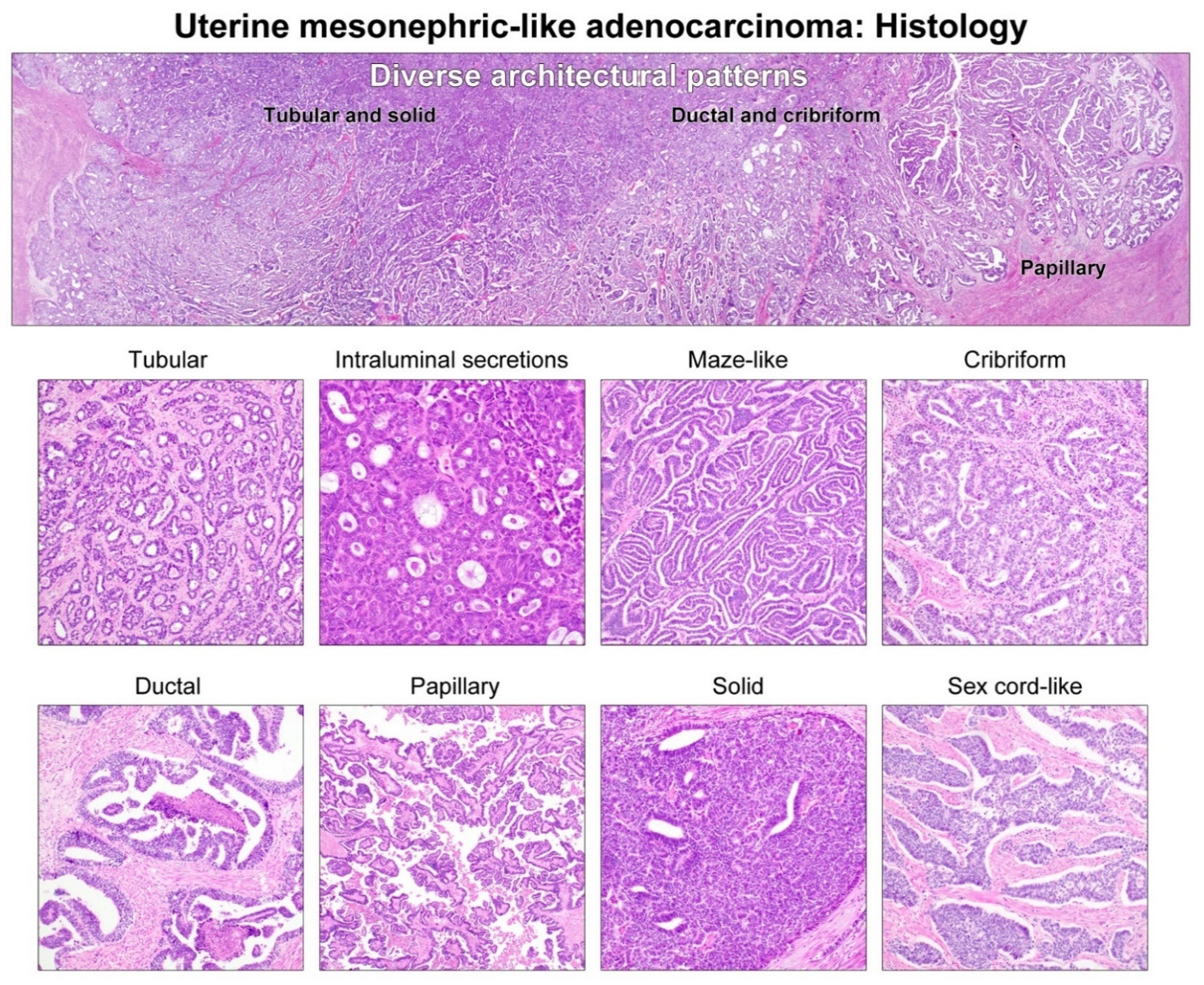 Diagnostics 11 02042 g001