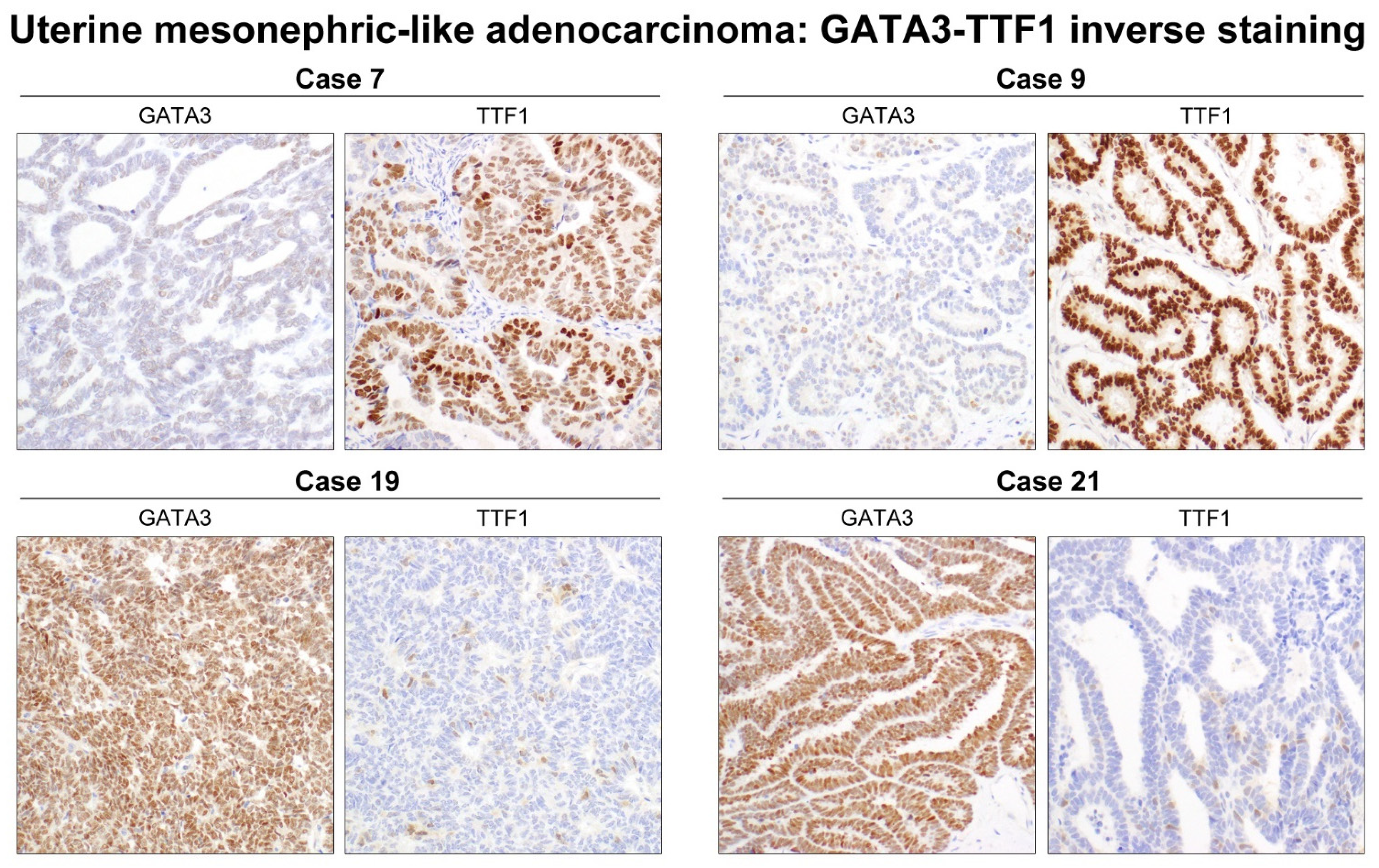 Diagnostics 11 02042 g005