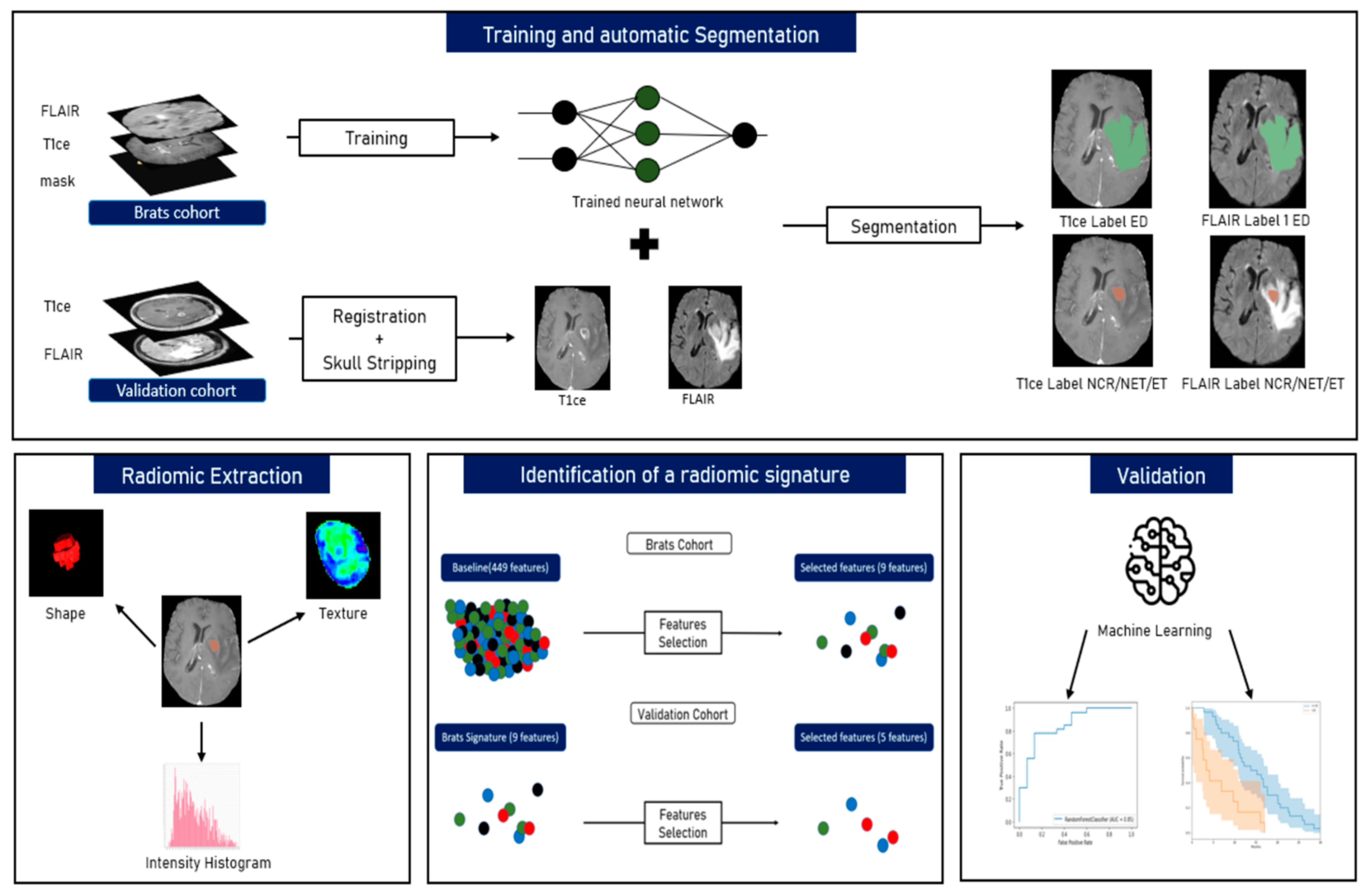 Diagnostics 11 02043 g001