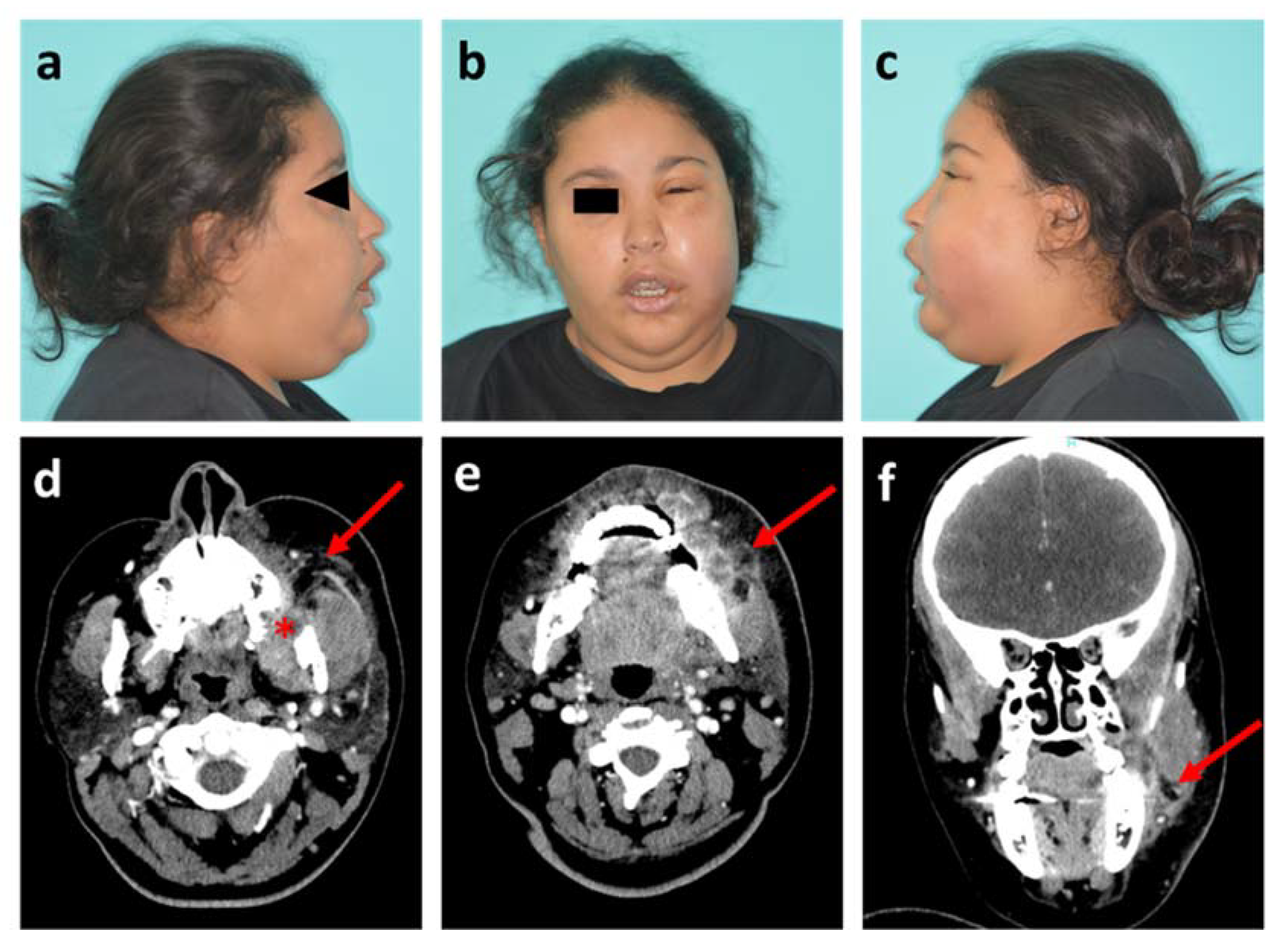 Diagnostics 11 02045 g001