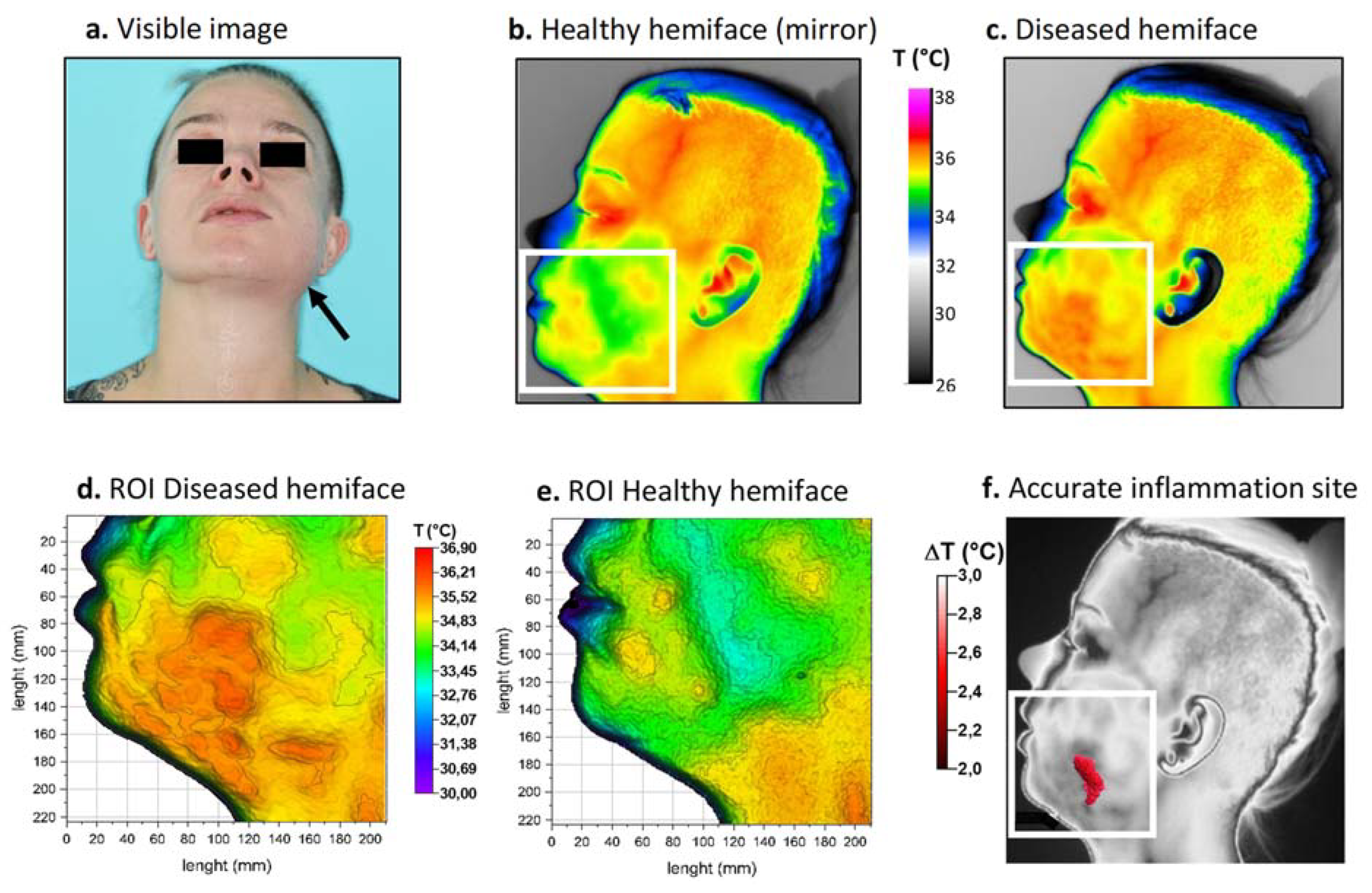Diagnostics 11 02045 g004