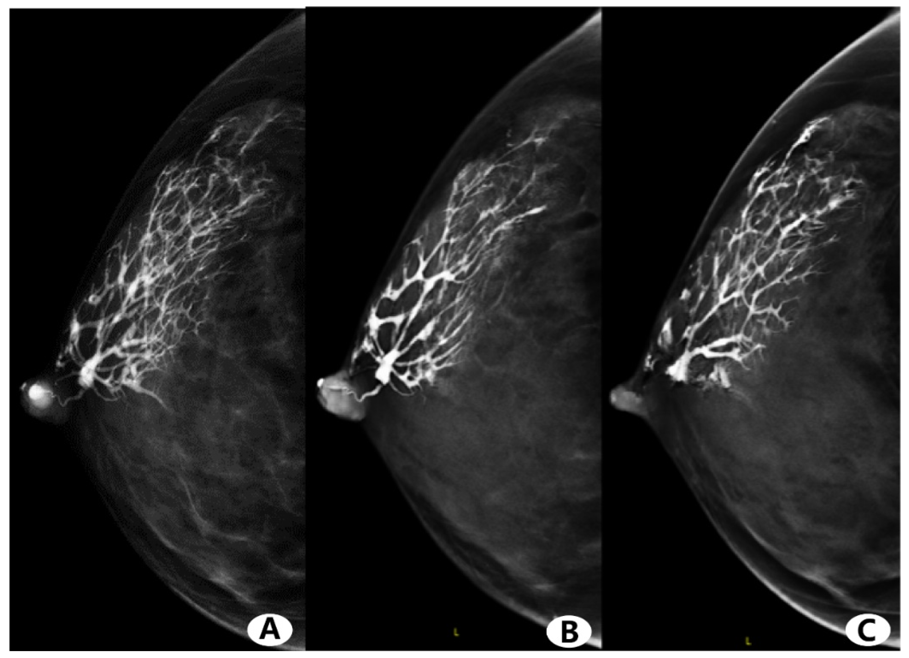 Diagnostics 11 02060 g004